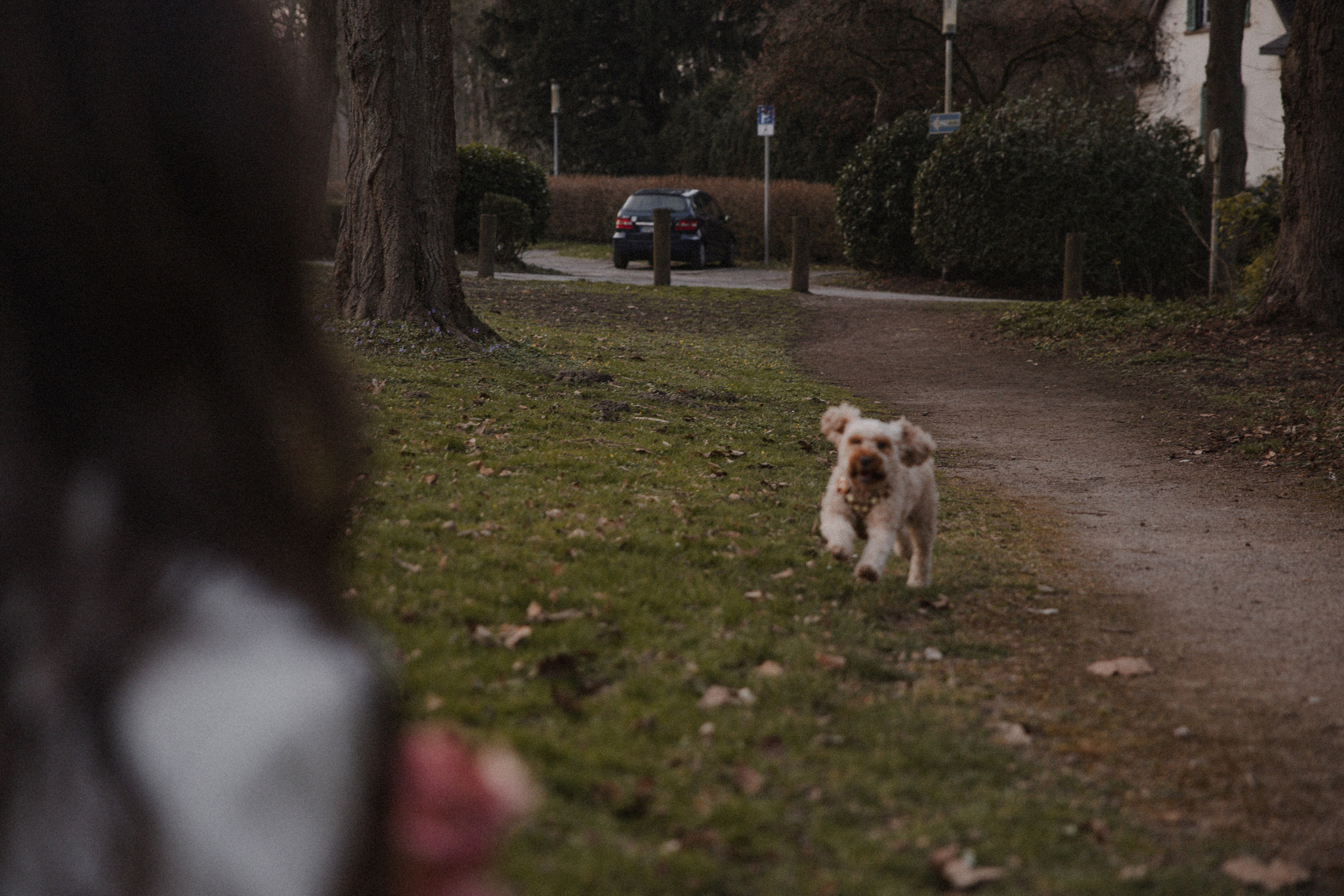 Morena & Niklas I Haus Hohenstein. Hochzeitsfotografin Bochum | Halyna Reiche Fotografie NRW