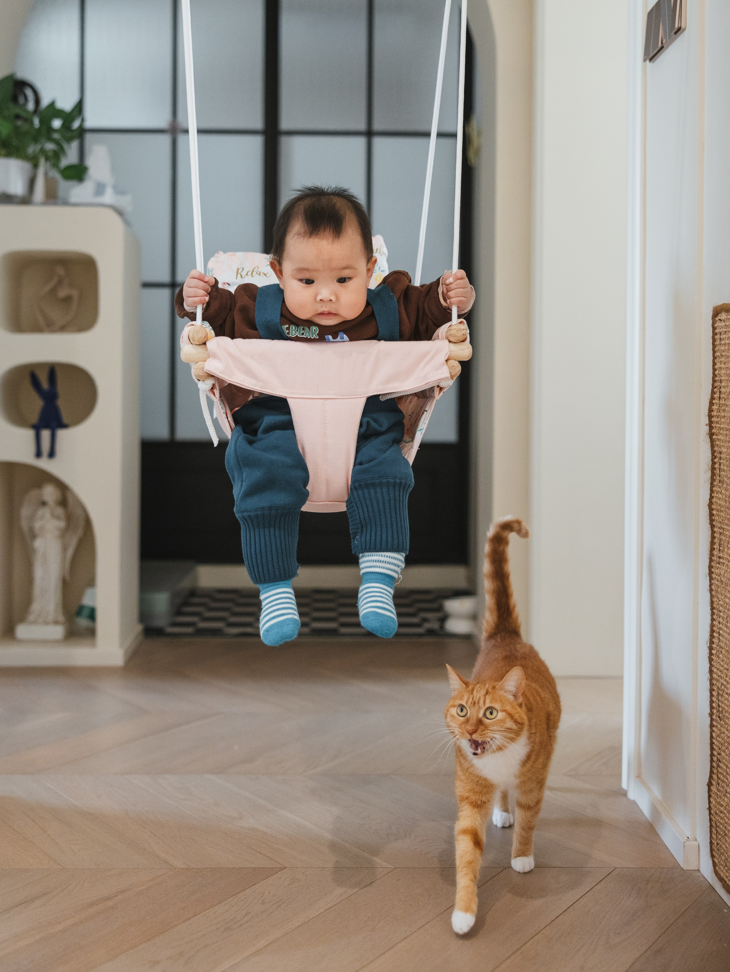 Photos of pets. Shanghai Family Photographer Dora