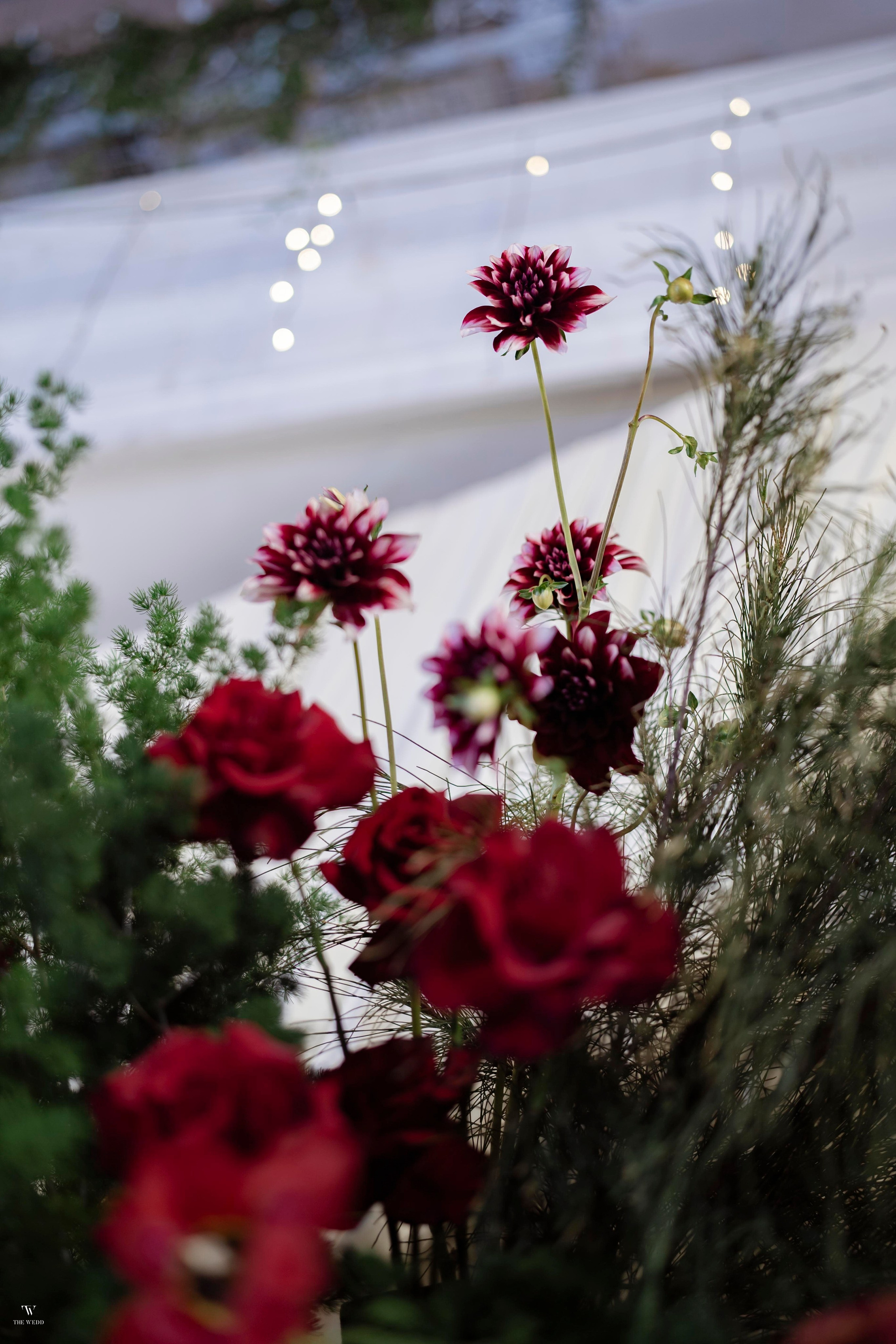 NGHIA & NGOC. WEDDING PHOTOGRAPHER IN VIETNAM