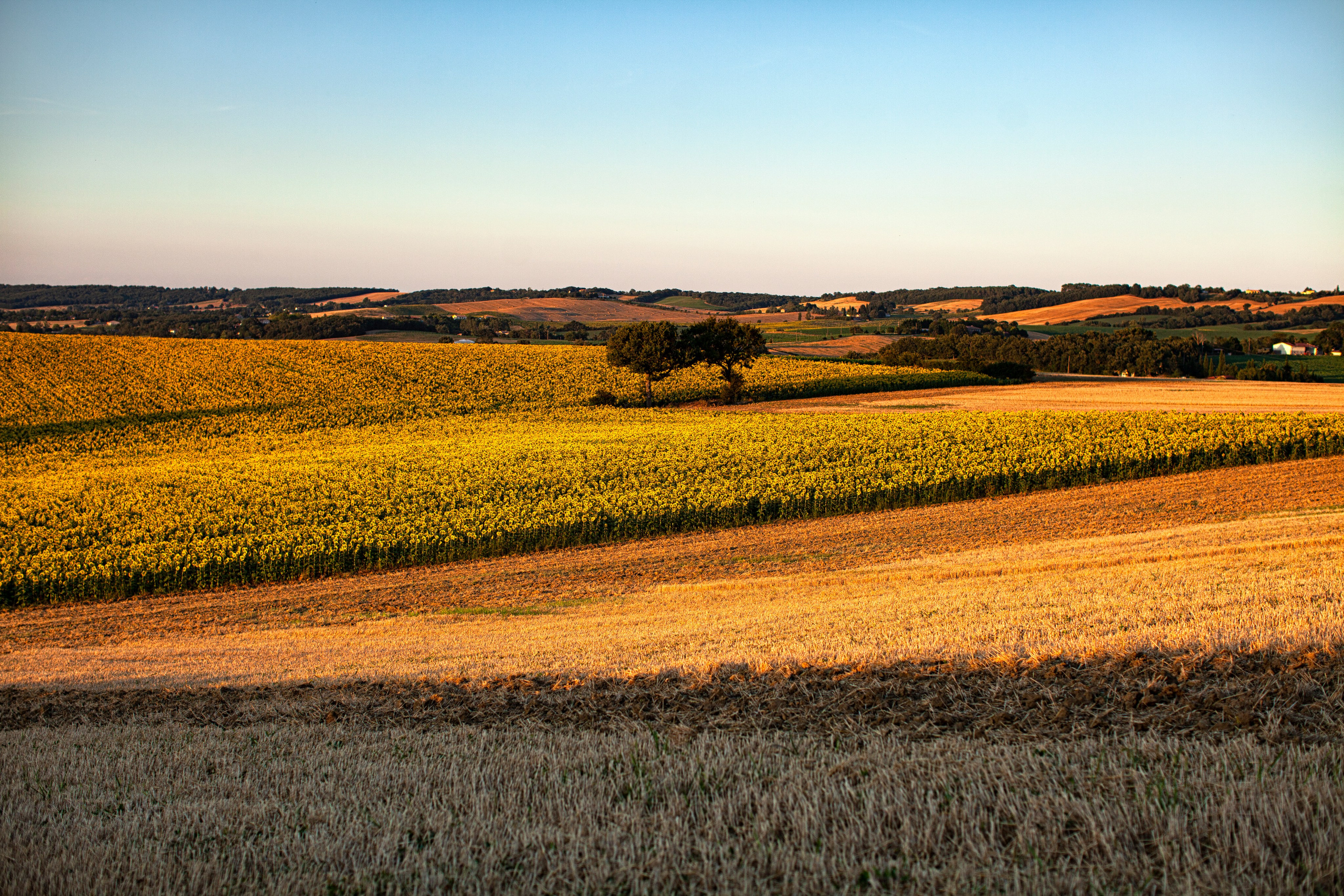 Toulouse. Eugenie Smirnova — wedding, corporate and lifestyle photographer in Toulouse and Southwest France