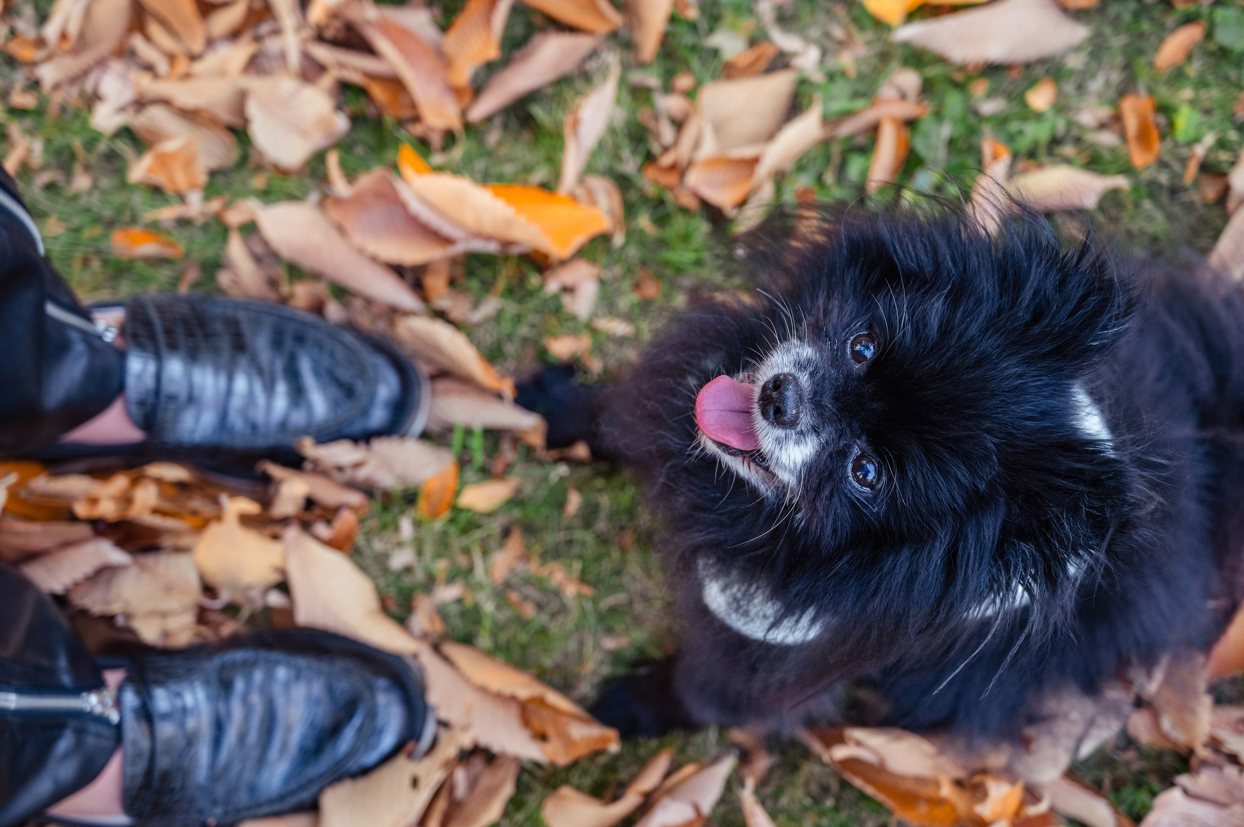 Alena Galieva New York Photographer