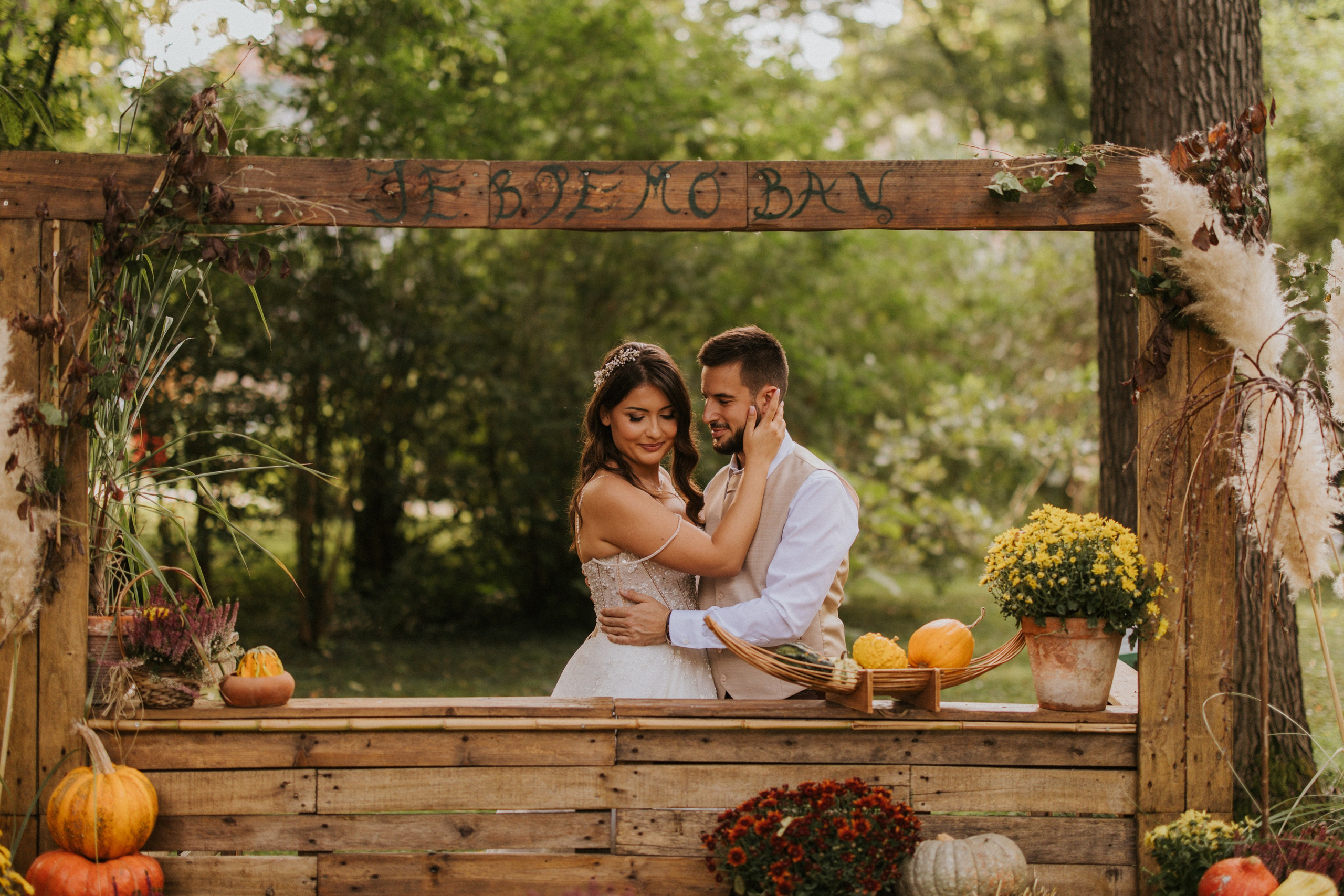 Photography. Alexandar weddings: Home