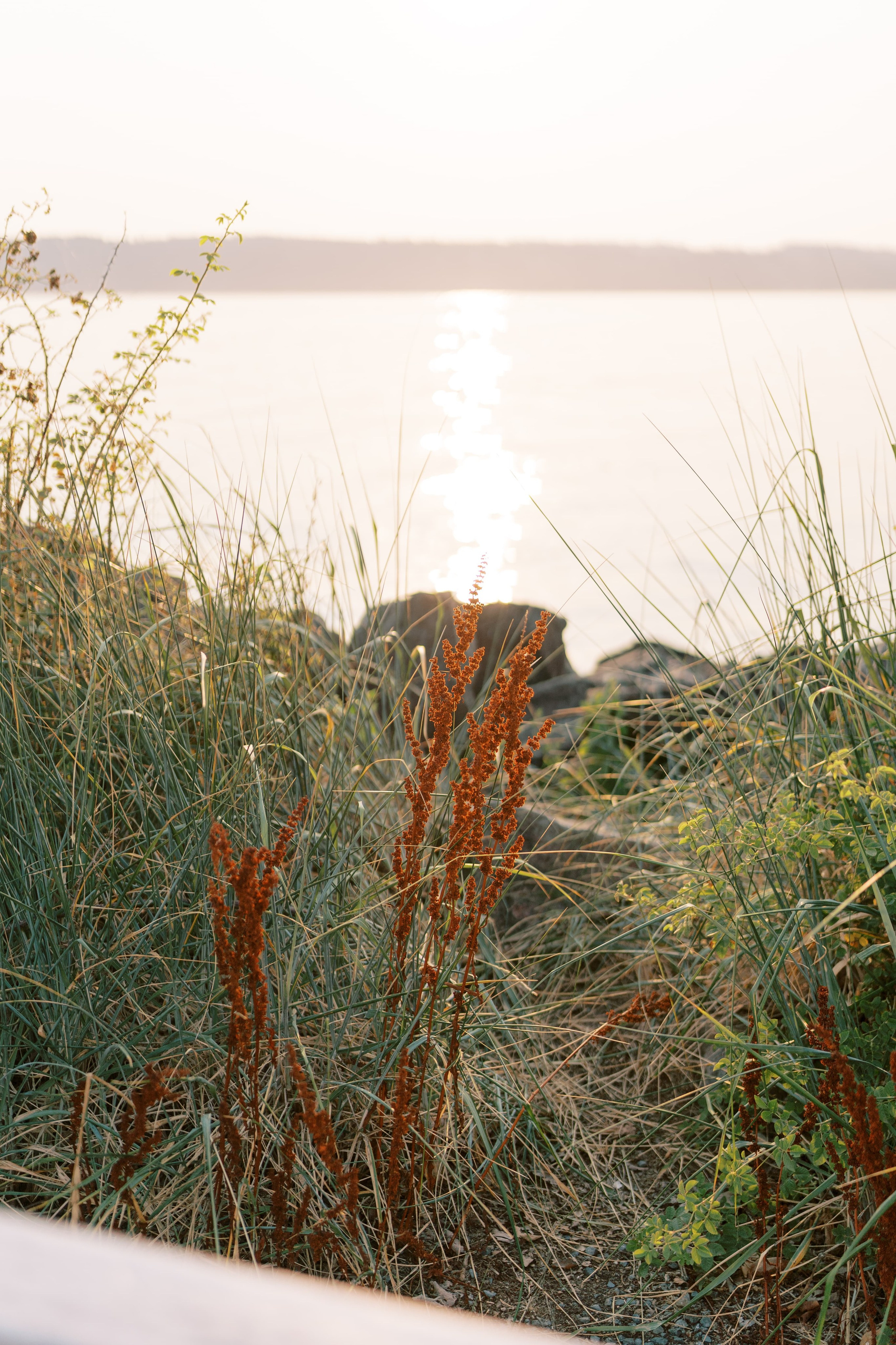 Family photoshoot. Vitalina with her family. August 2024. Lighthouse in Mukilteo. EVAN ARISTOV WEDDING PHOTOGRAPHY — Seattle Wedding Photographer