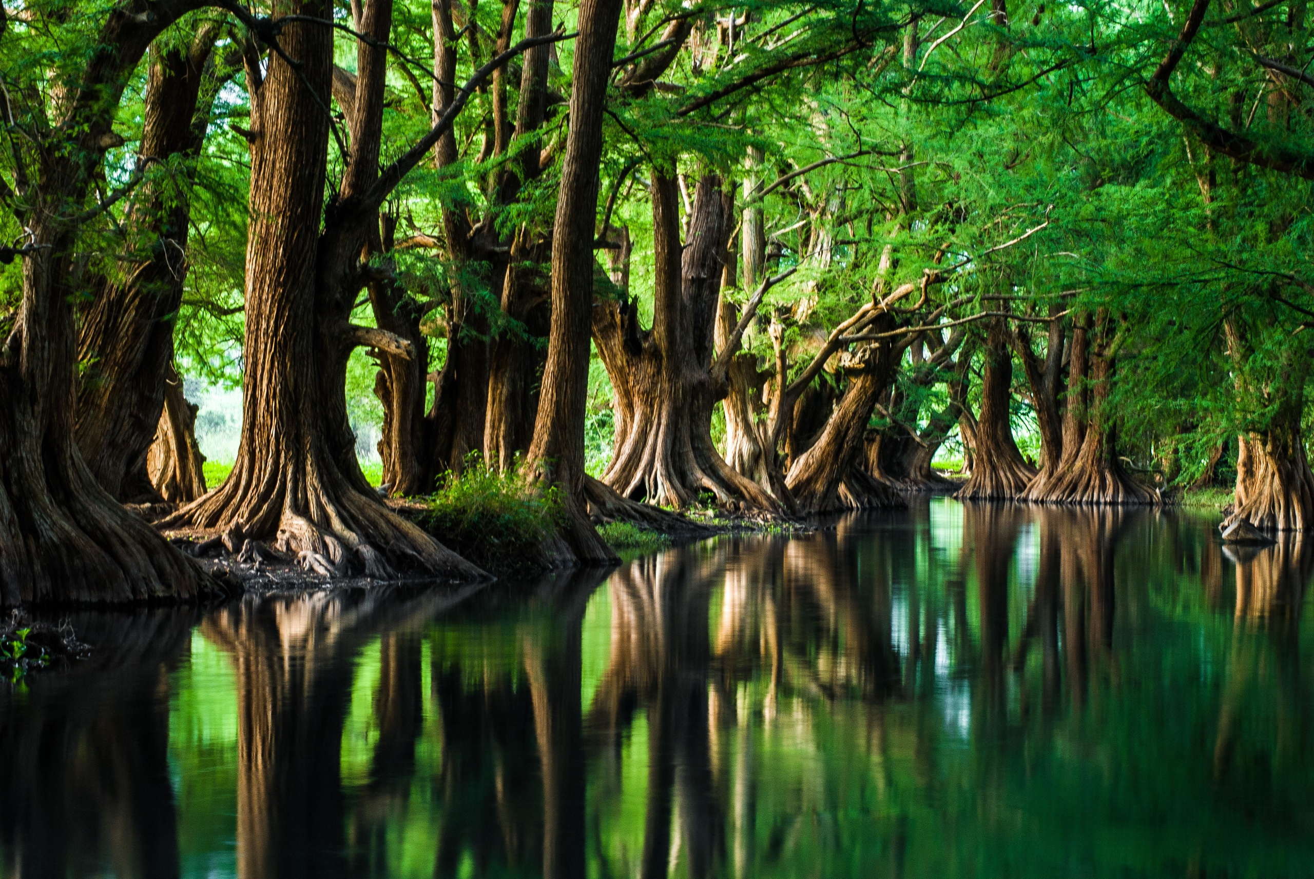 Landscape. Nirmal Ramo Photographer