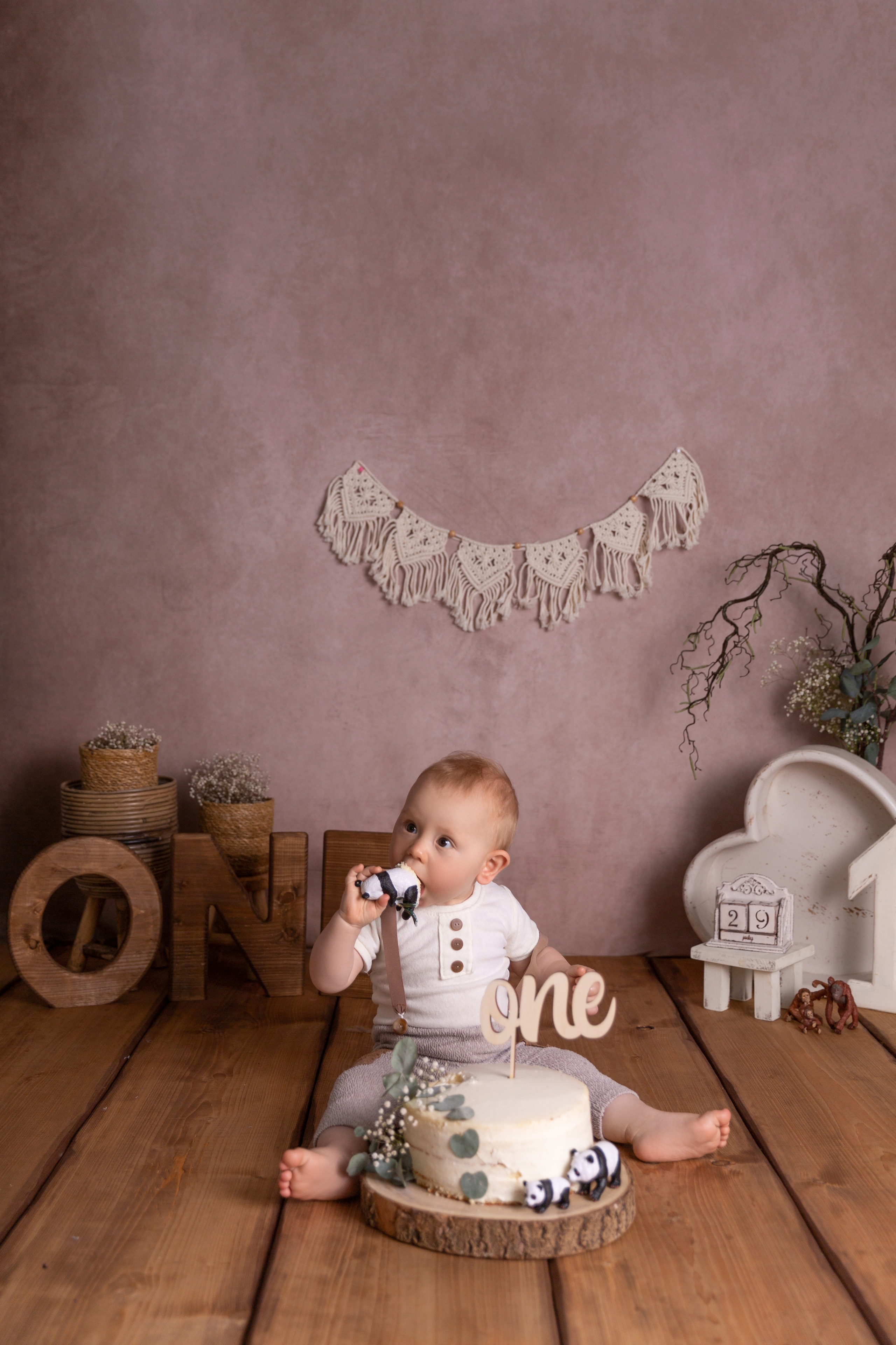 smashthecakehagen, smashthecakeiserlohn, smashthecakelüdenscheid, smashthecakedortmund, smashthecakefotoshootingdortmund, smashthecakefotoshootinglüdenscheid, erstergeburtstagfotoshootingdortmund, erstergeburtstagfotoshootinghagen, erstergeburtstagfotoshootingiserlohn, erstergeburtstagfotoshootinglüdenscheidfotostudiohagen, fotostudiodortmund, fotostudioiserlohn, fotostudiolüdenscheid, fotostudiowitten, fotostudiowetter