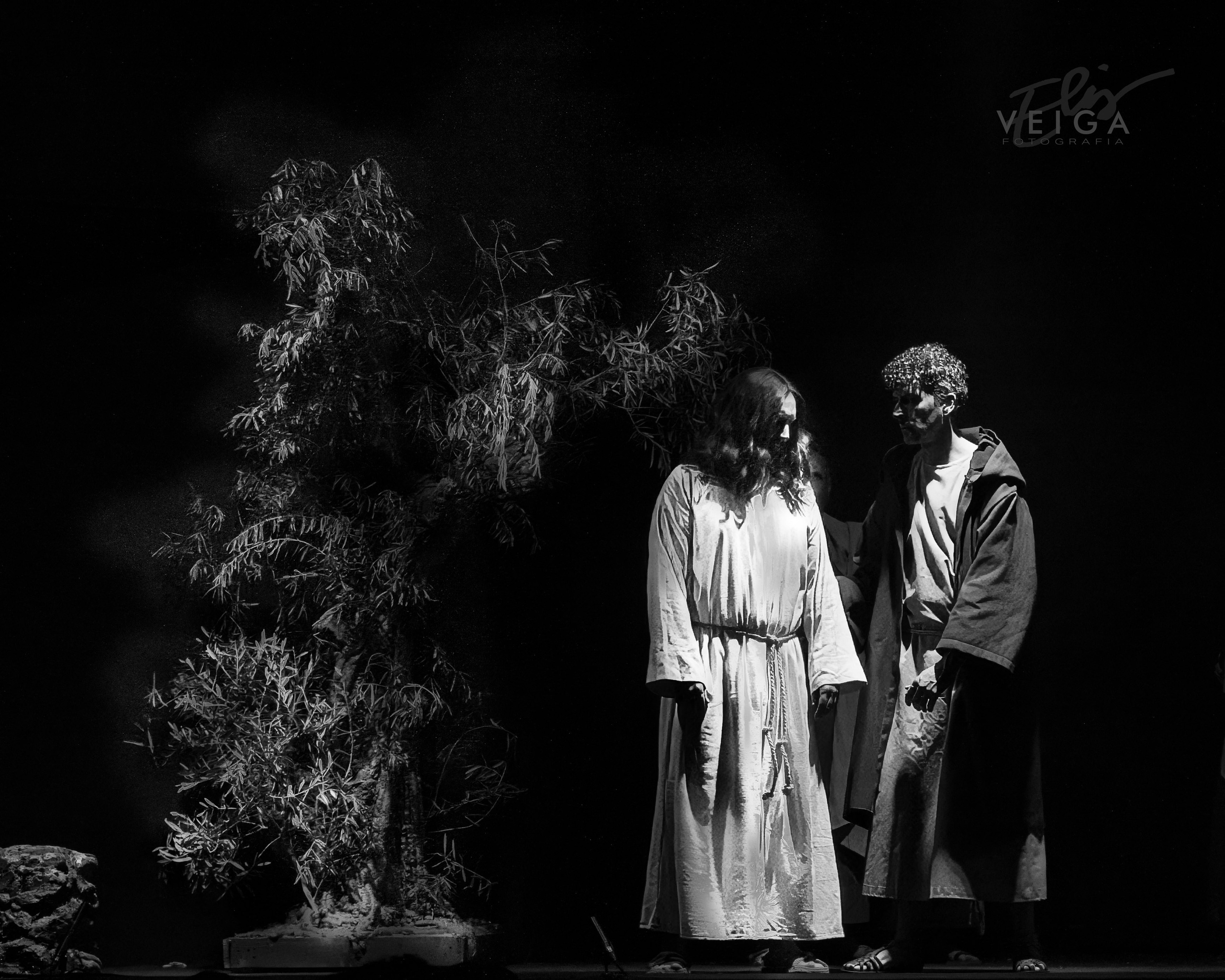 Espectáculos_ArtEscénicas. Elisveiga