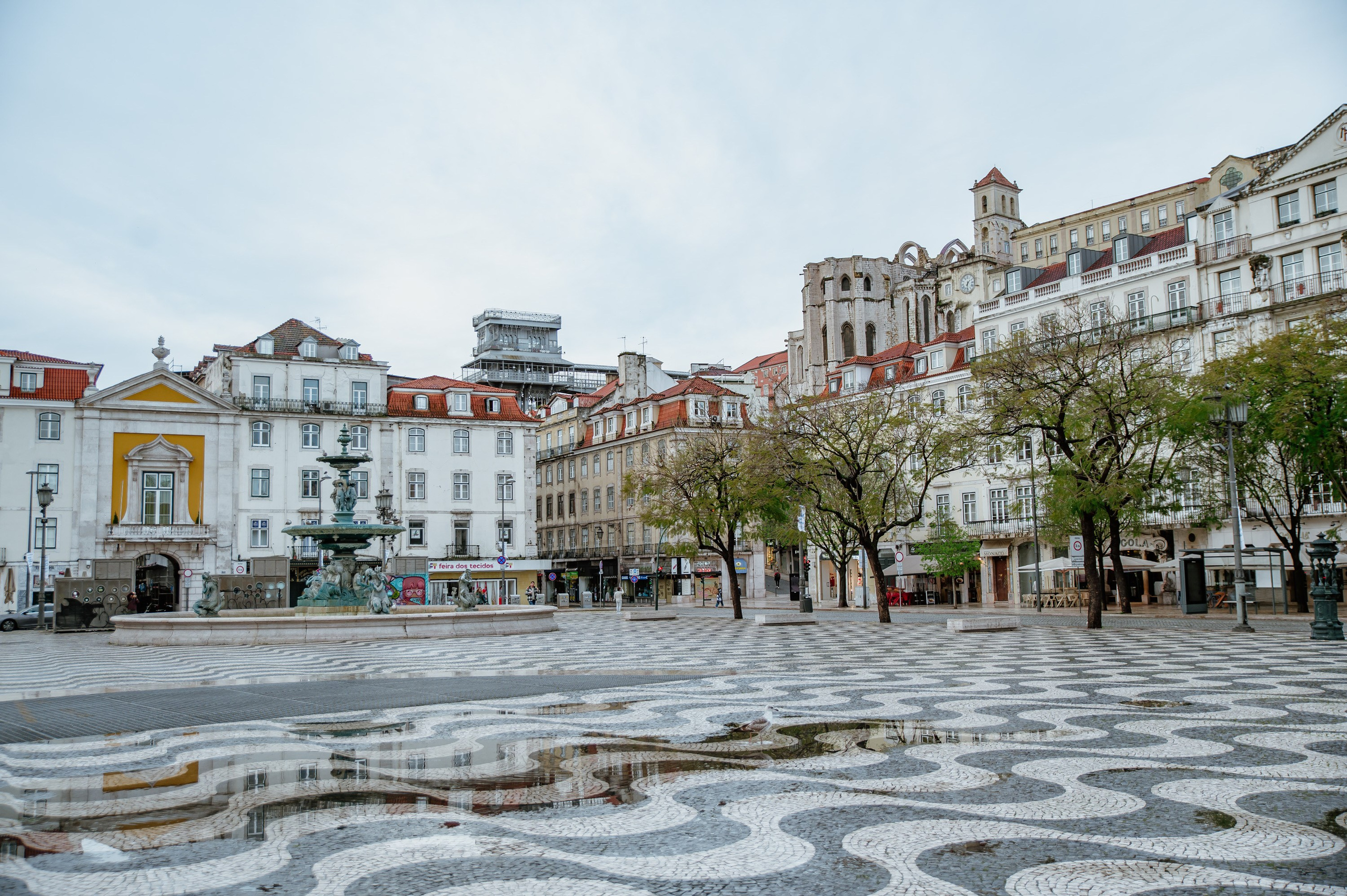 Portugal. Bojana Žuža fotograf u Beogradu 📷 Belgrade photographer