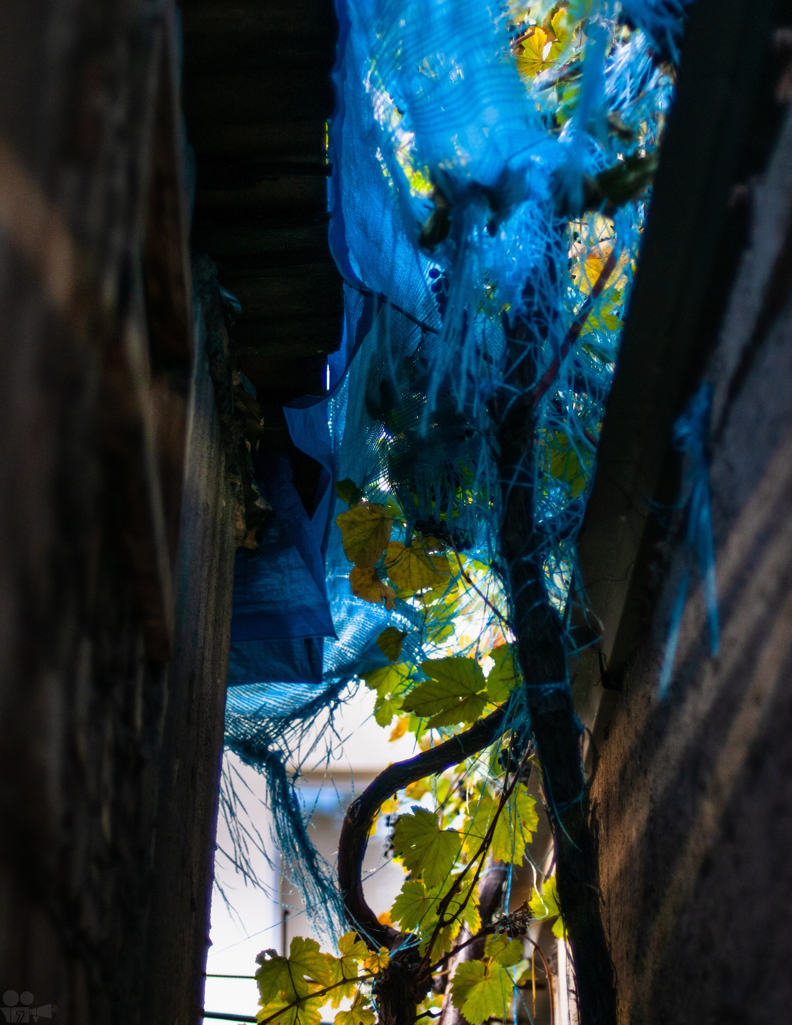 Tbilisi through the lens. VVoPoL