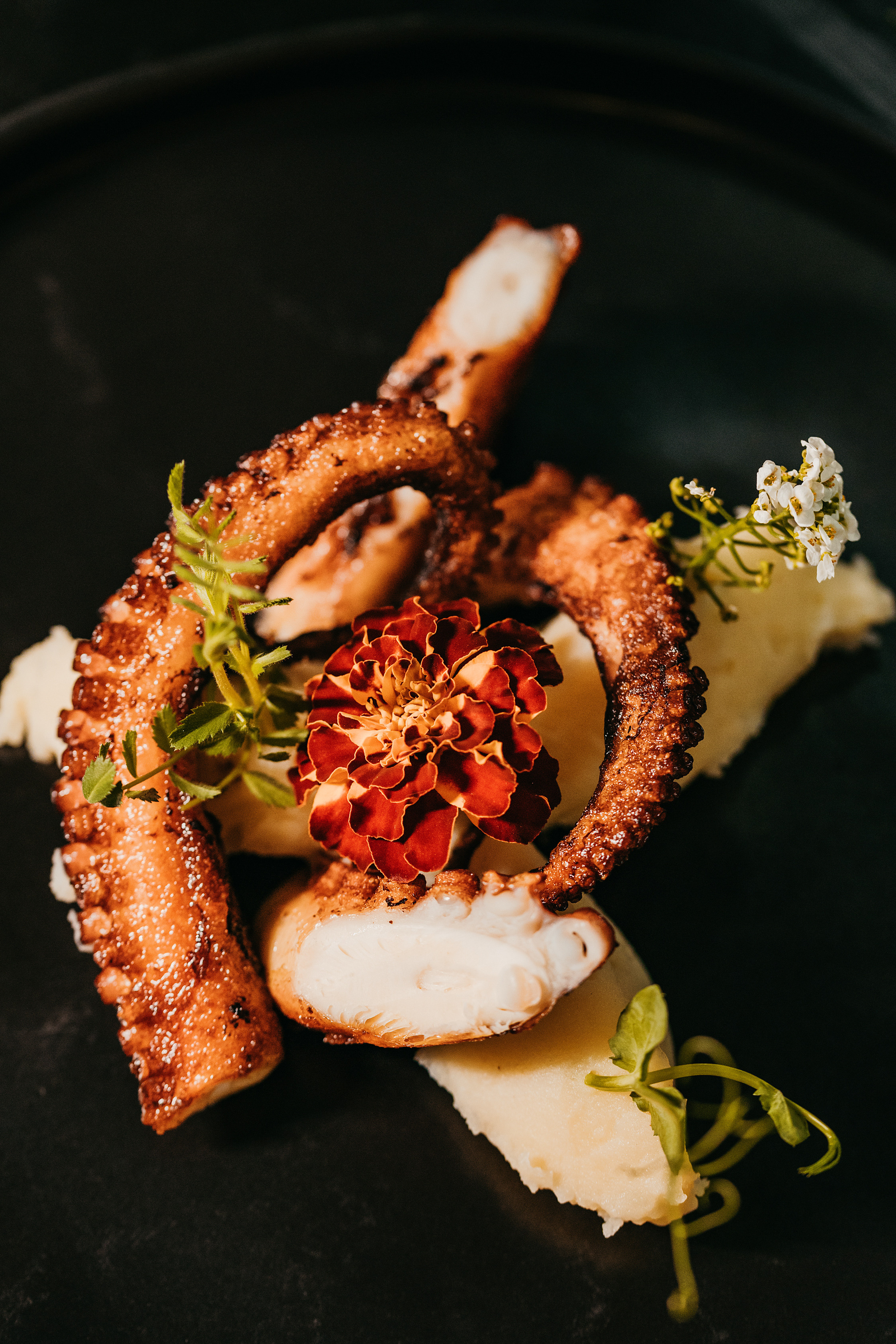 PORTFOLIO. FOTOGRAFÍA GASTRONÓMICA TENERIFE