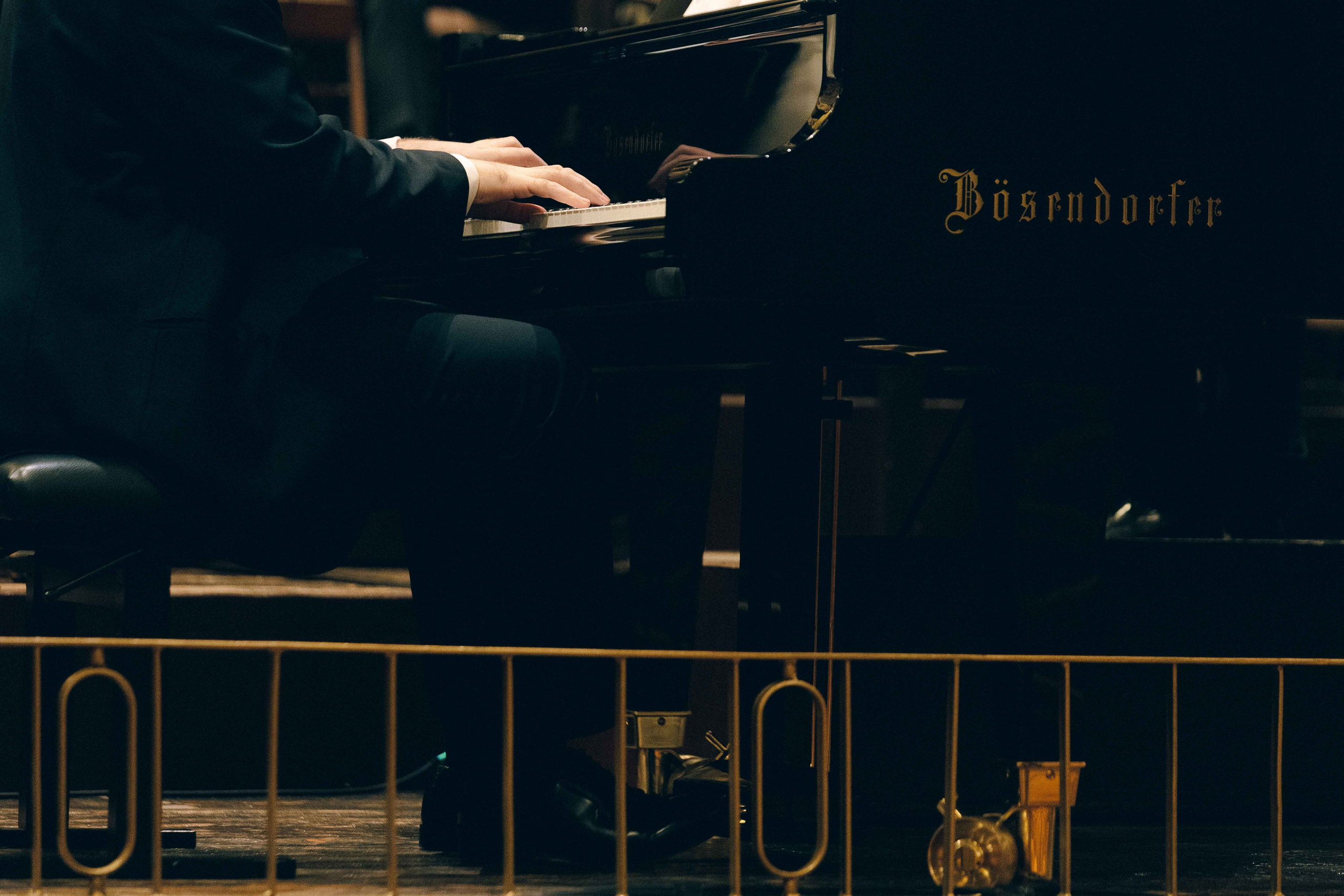 MUSIKVEREIN (VIENNA). Wedding&Event photographer Ismail Rzayev in Baku