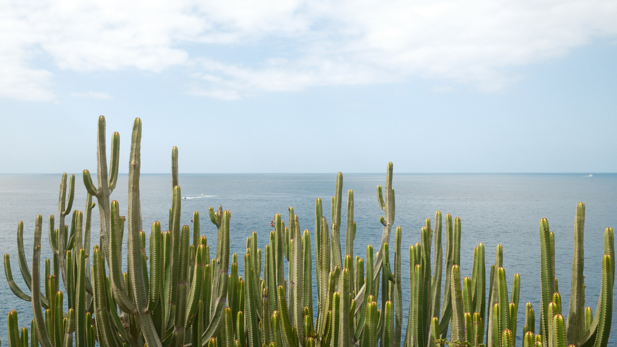 Gran Canaria 2025. Cal Takes Photos