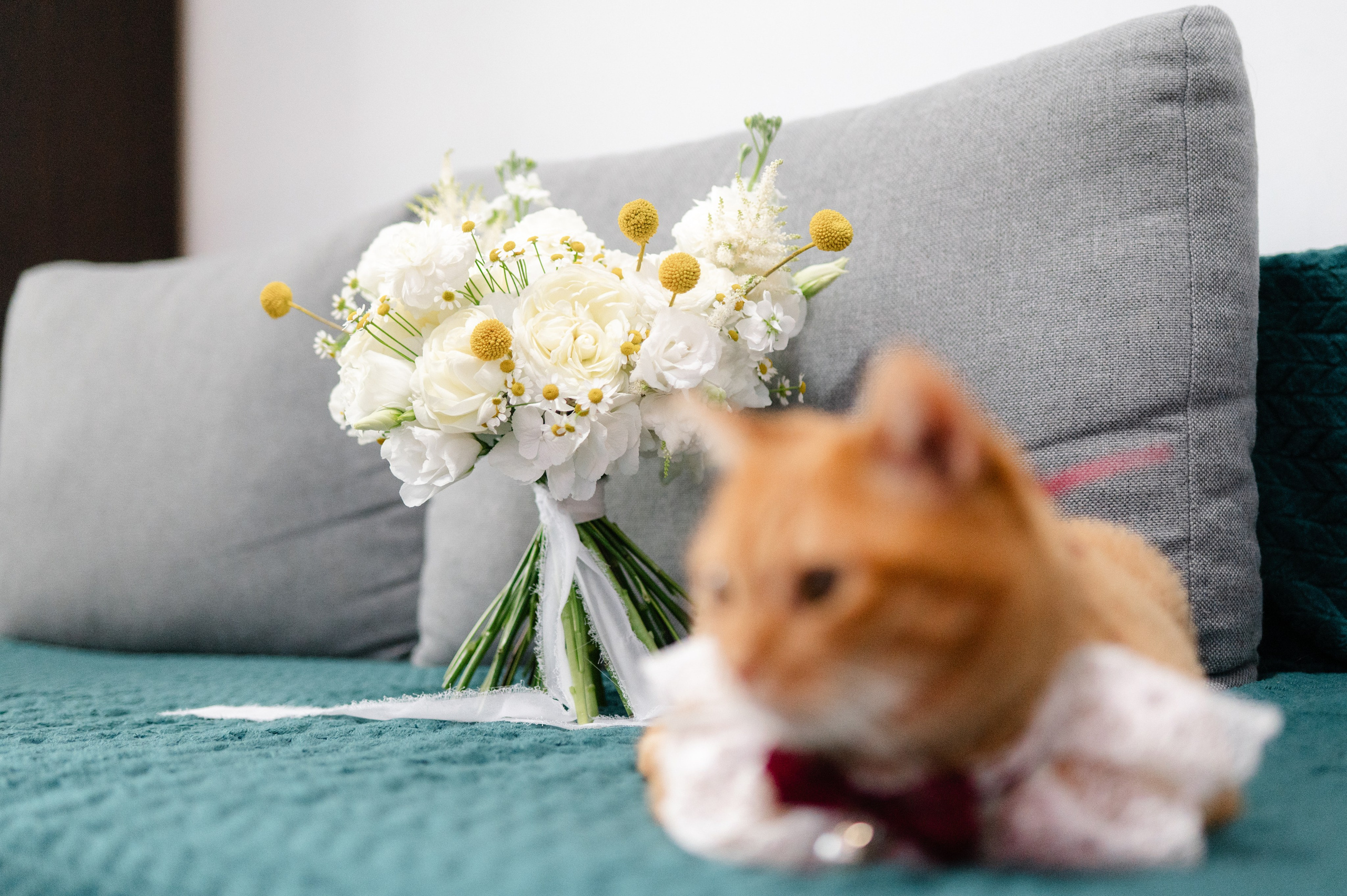 Alexandra + Adrian | Wedding. Alexandra Hanu Photographer