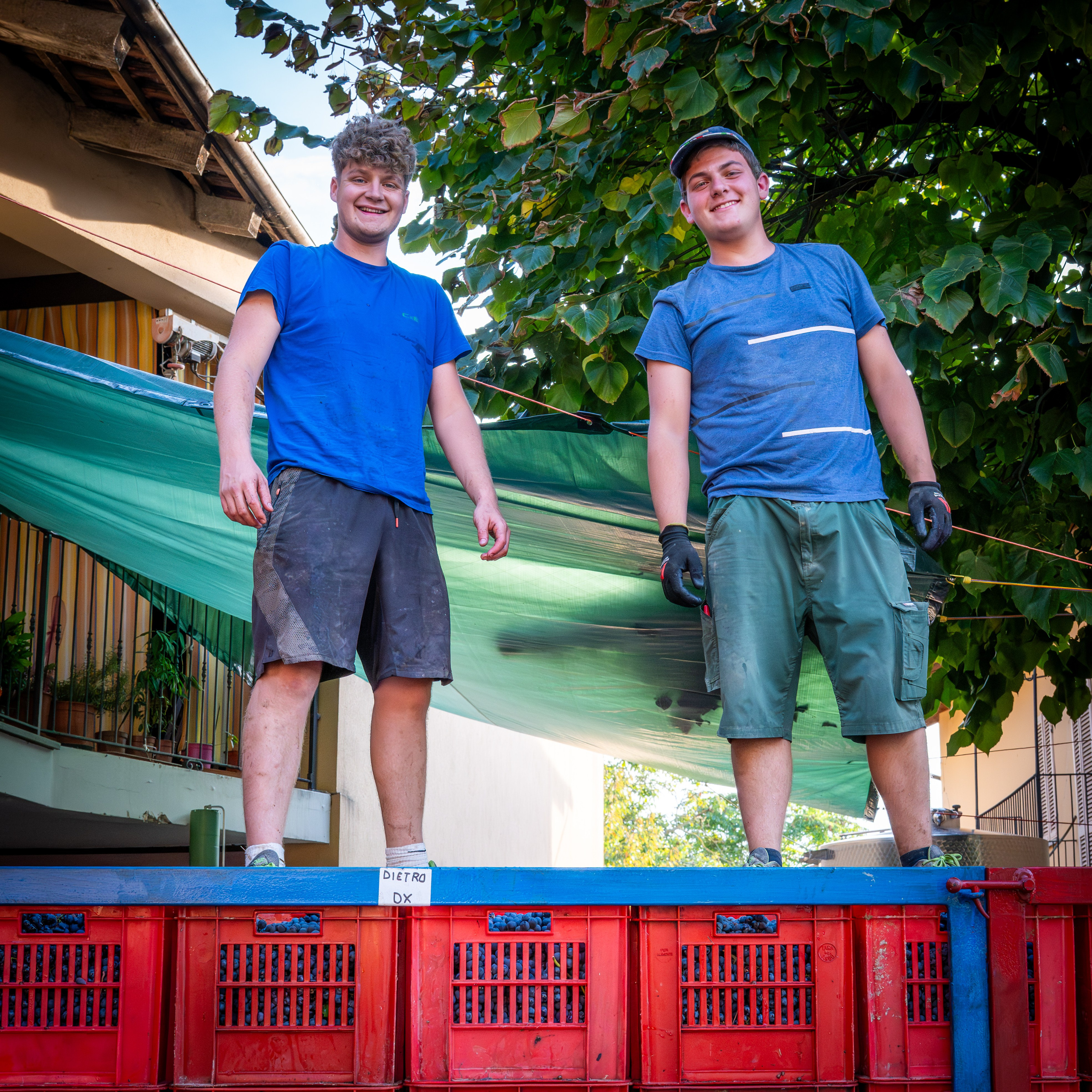 Cantine Boasso Serralunga. “Gianmaria Coscia fotografo per passione”