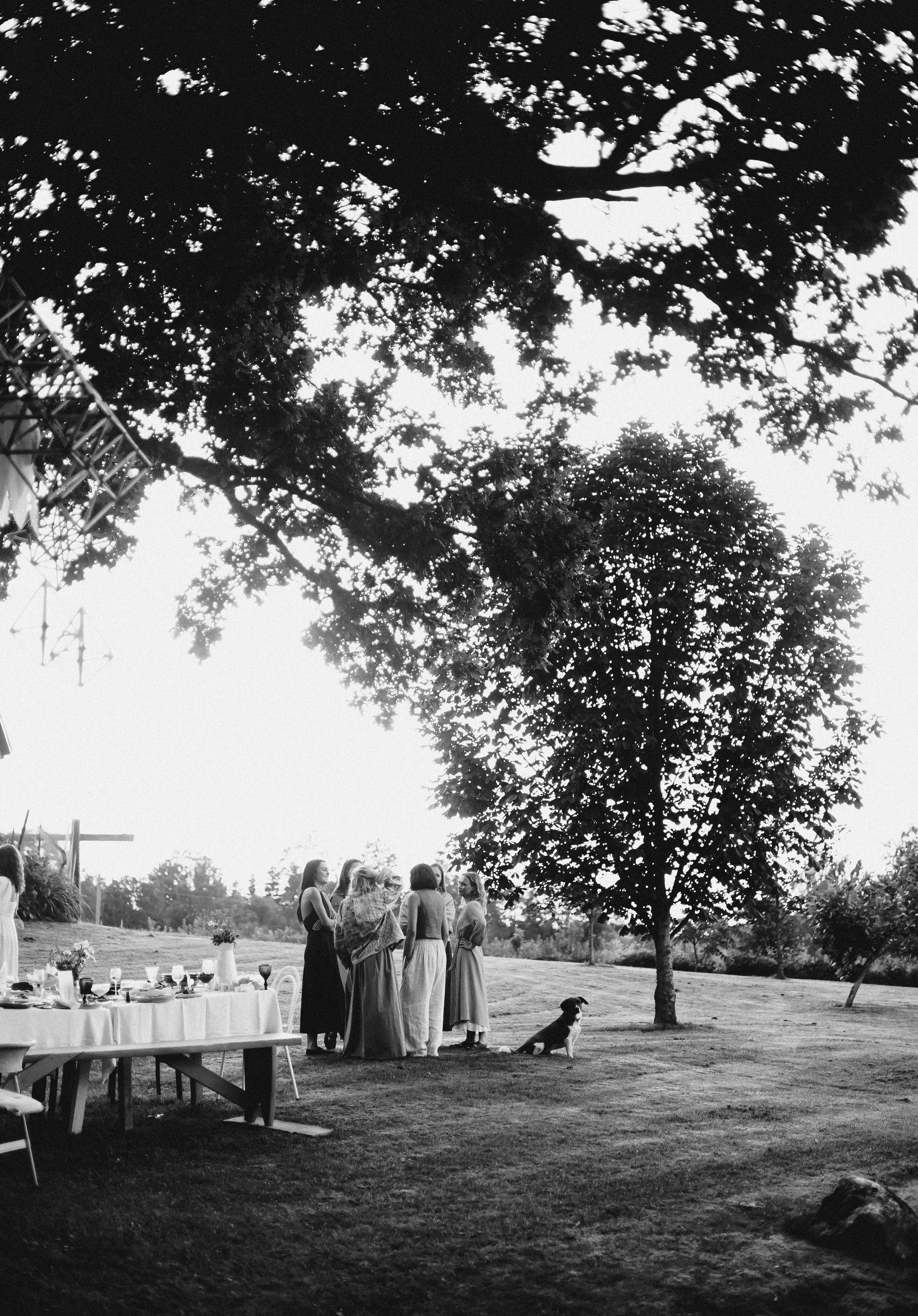 Vasara sode. Портретный фотограф Александра Самозванова