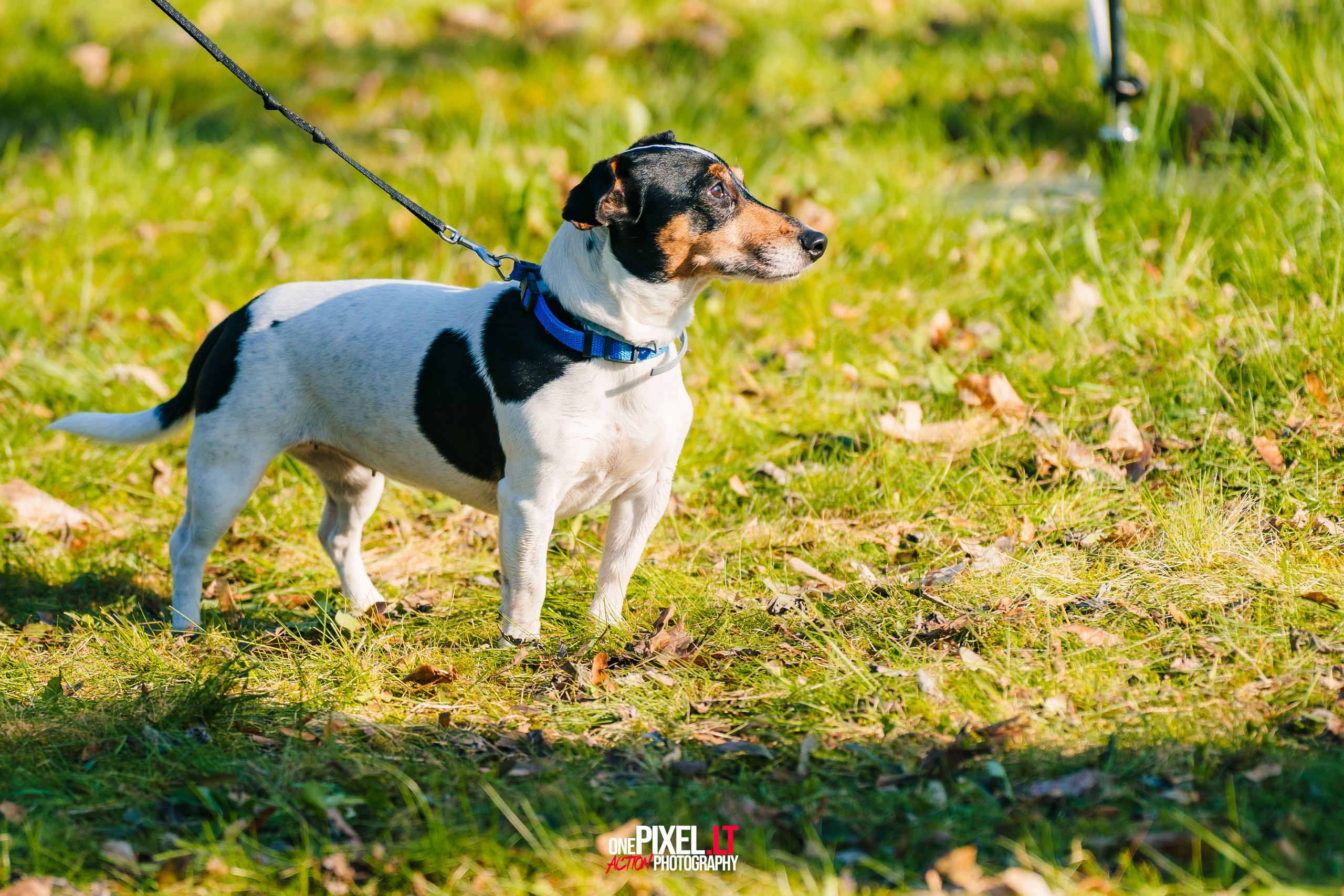 Žygis PTuras — Velnio keliais 2023. OnePIXEL