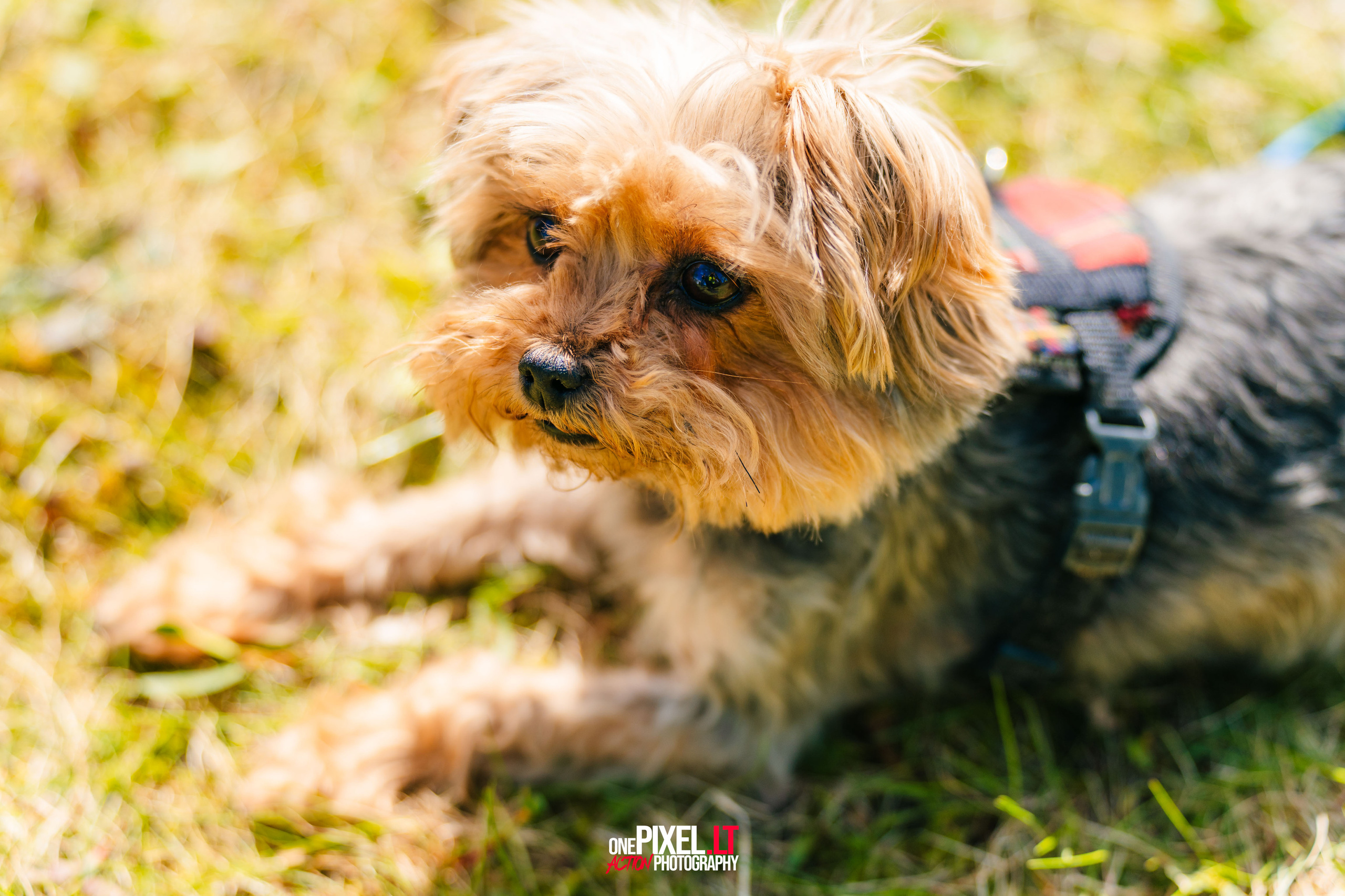 Žygis PTuras — Velnio keliais 2023. OnePIXEL