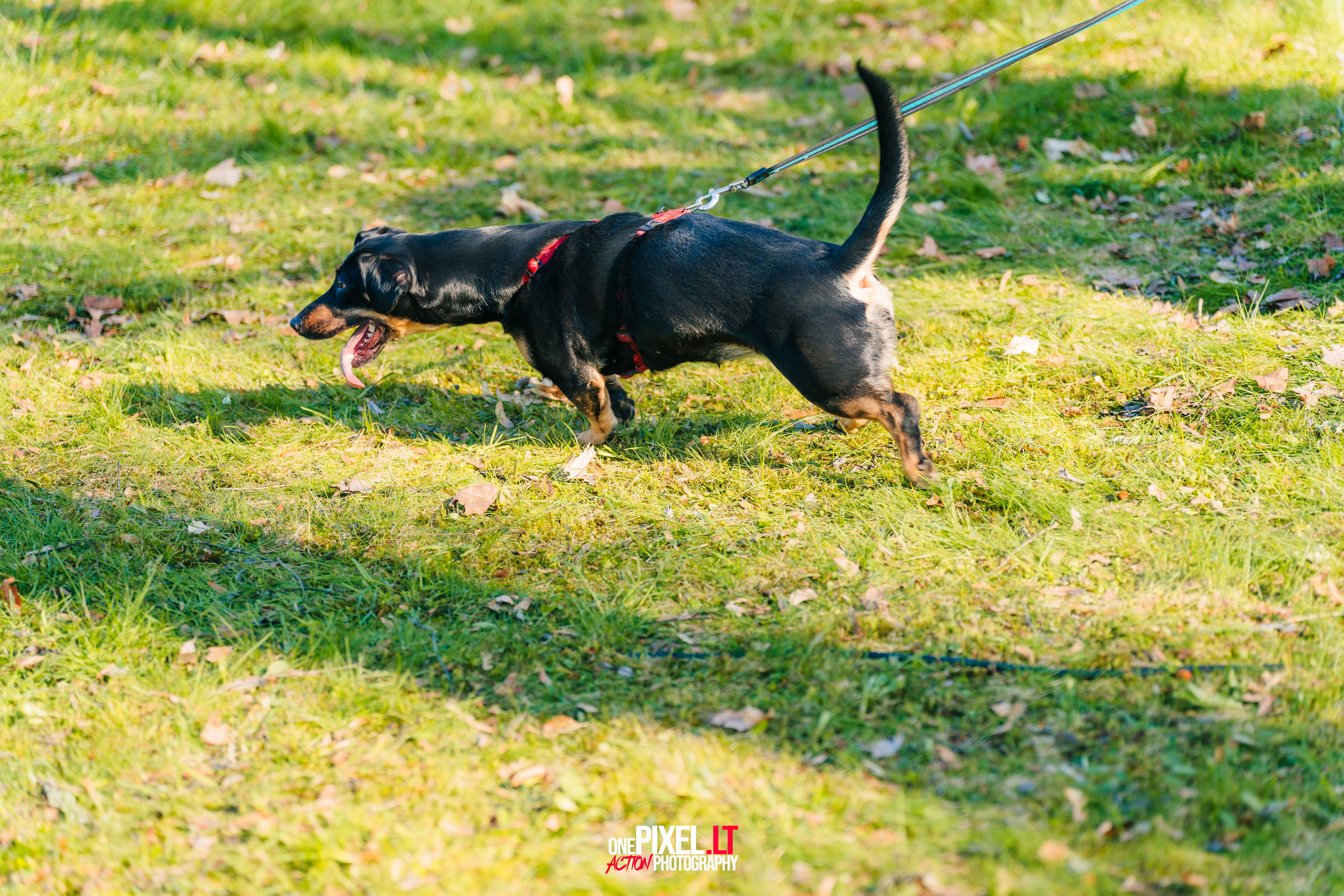 Žygis PTuras — Velnio keliais 2023. OnePIXEL