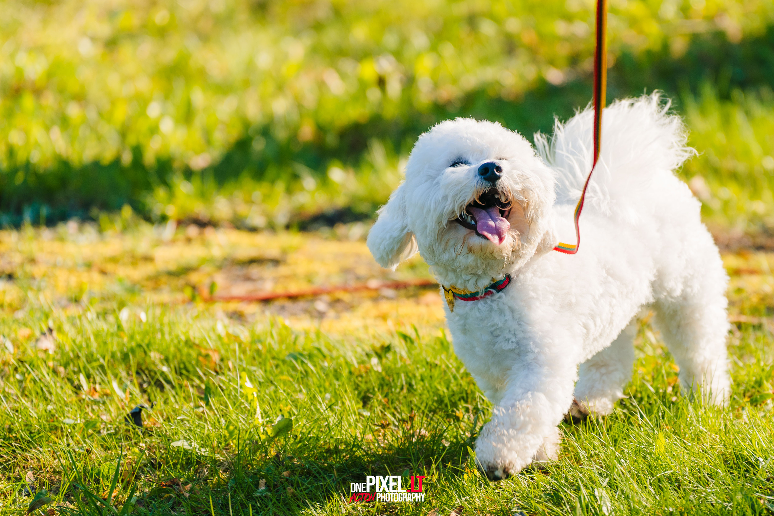 Žygis PTuras — Velnio keliais 2023. OnePIXEL