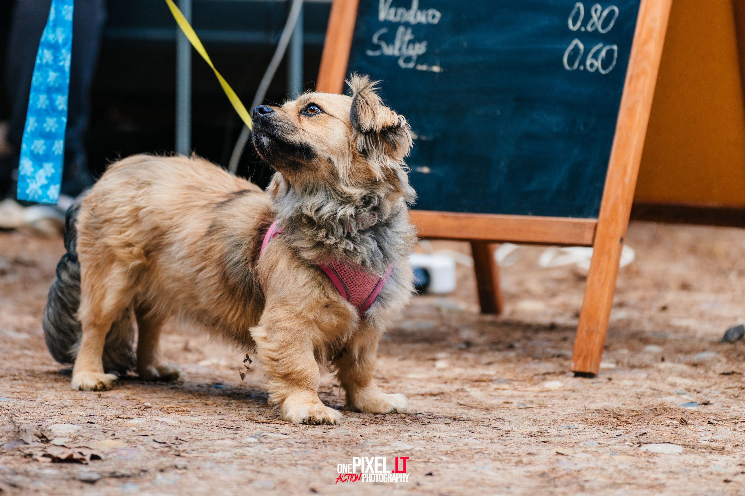 Žygis PTuras — Velnio keliais 2023. OnePIXEL