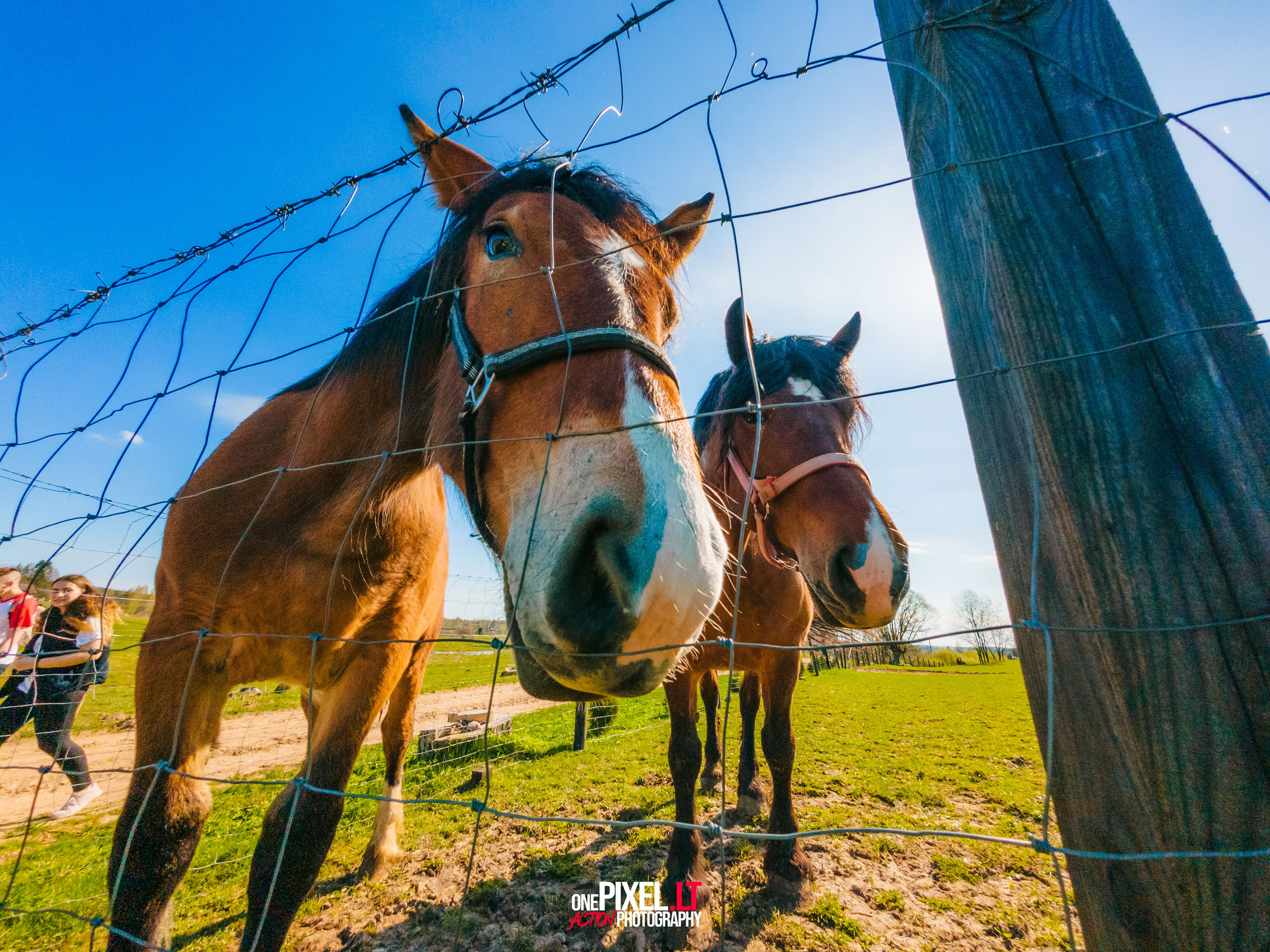 Žygis PTuras — Velnio keliais 2023. OnePIXEL