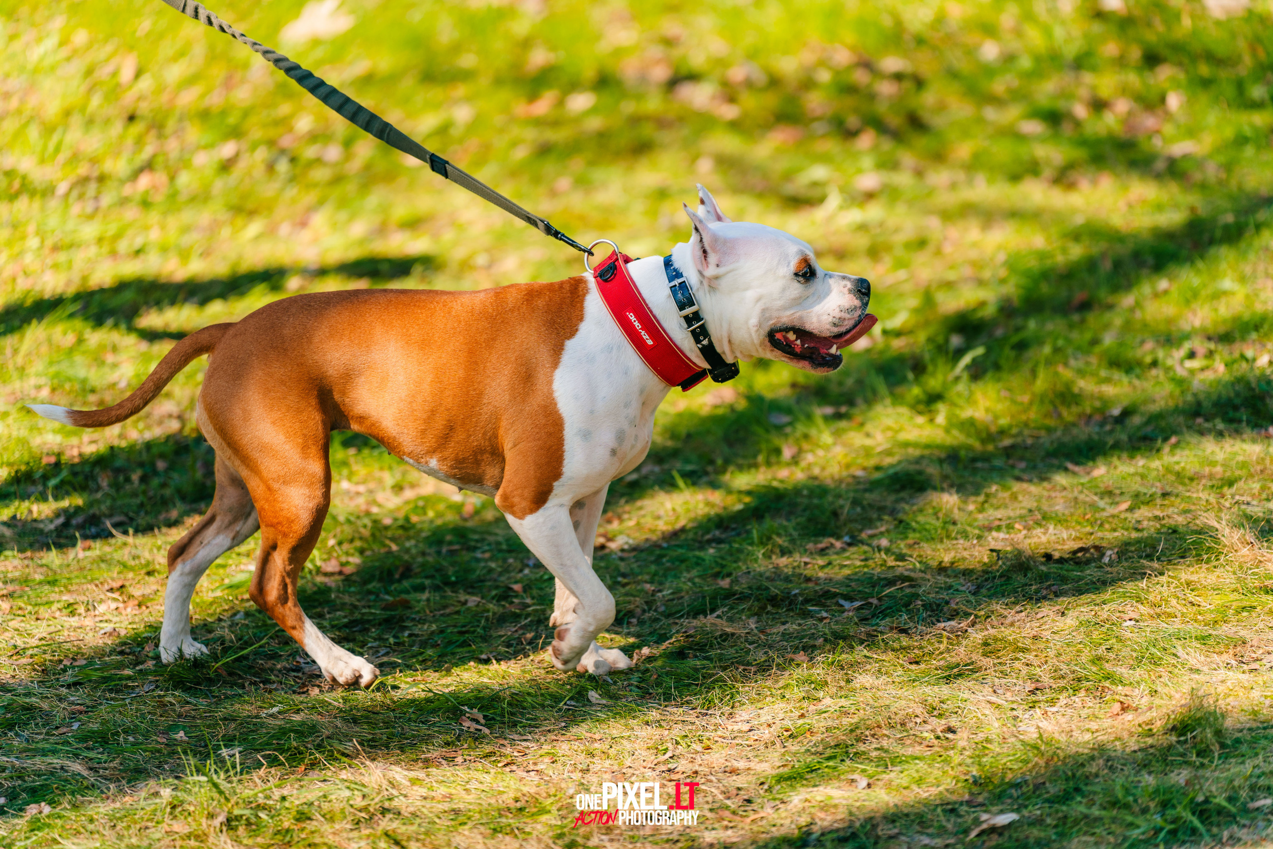 Žygis PTuras — Velnio keliais 2023. OnePIXEL