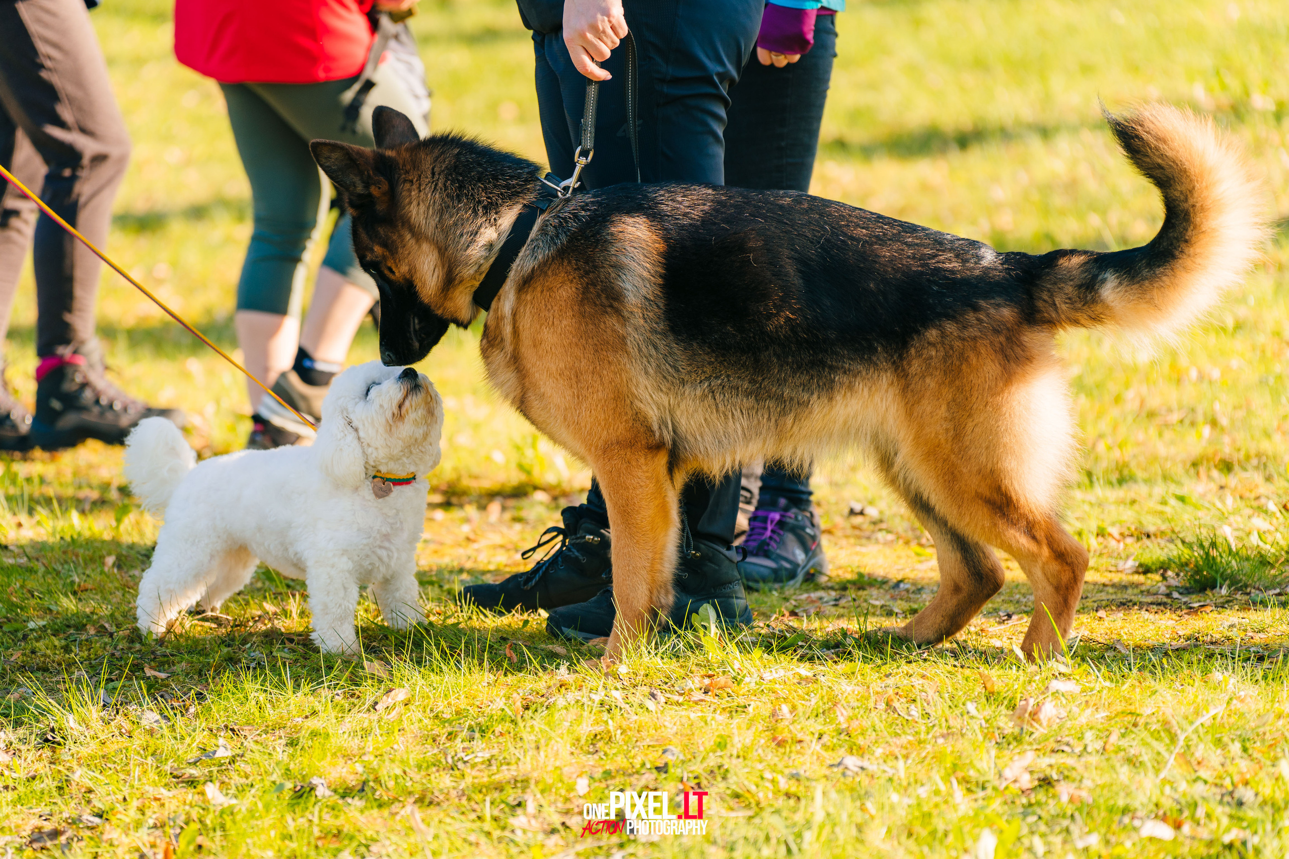 Žygis PTuras — Velnio keliais 2023. OnePIXEL