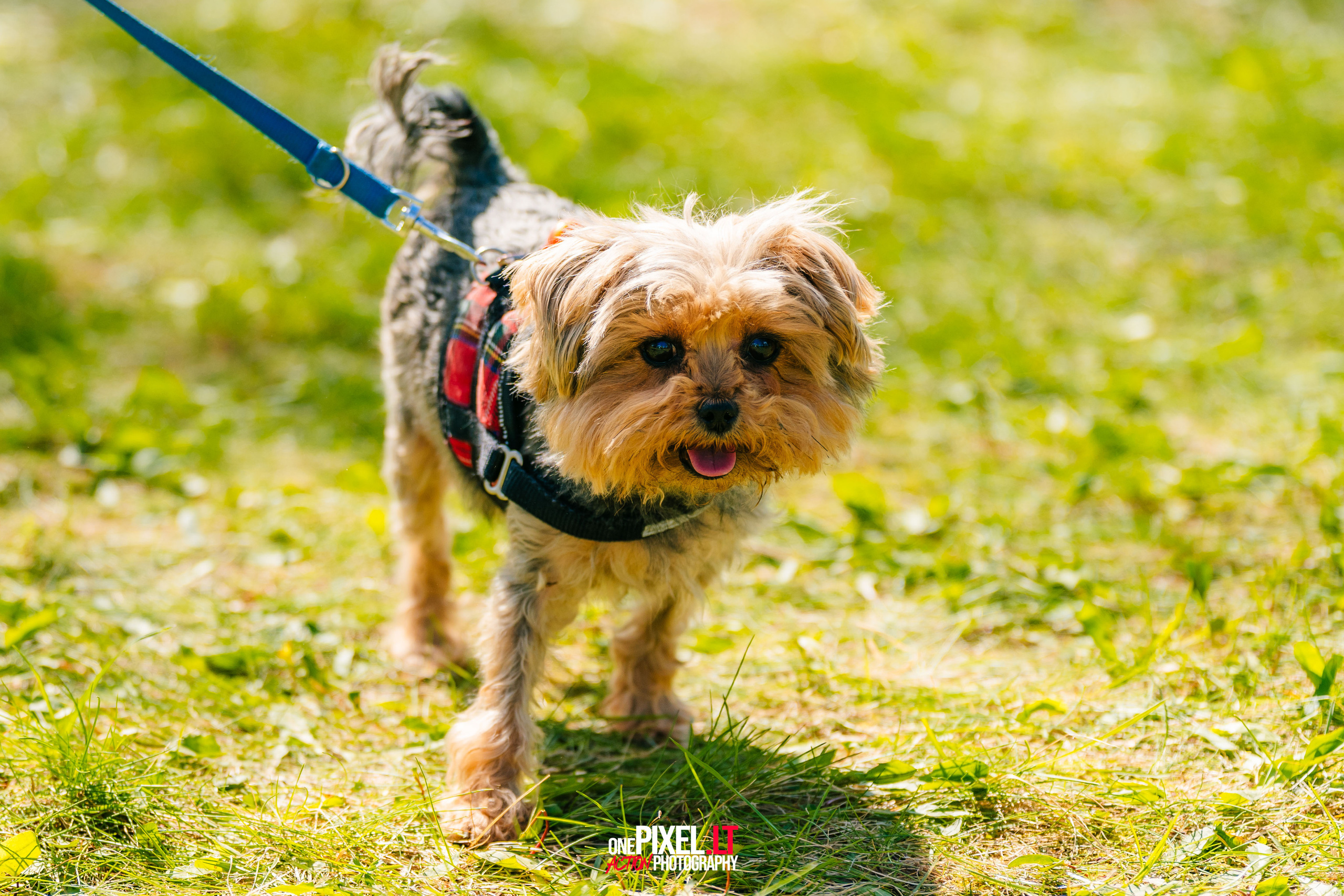 Žygis PTuras — Velnio keliais 2023. OnePIXEL