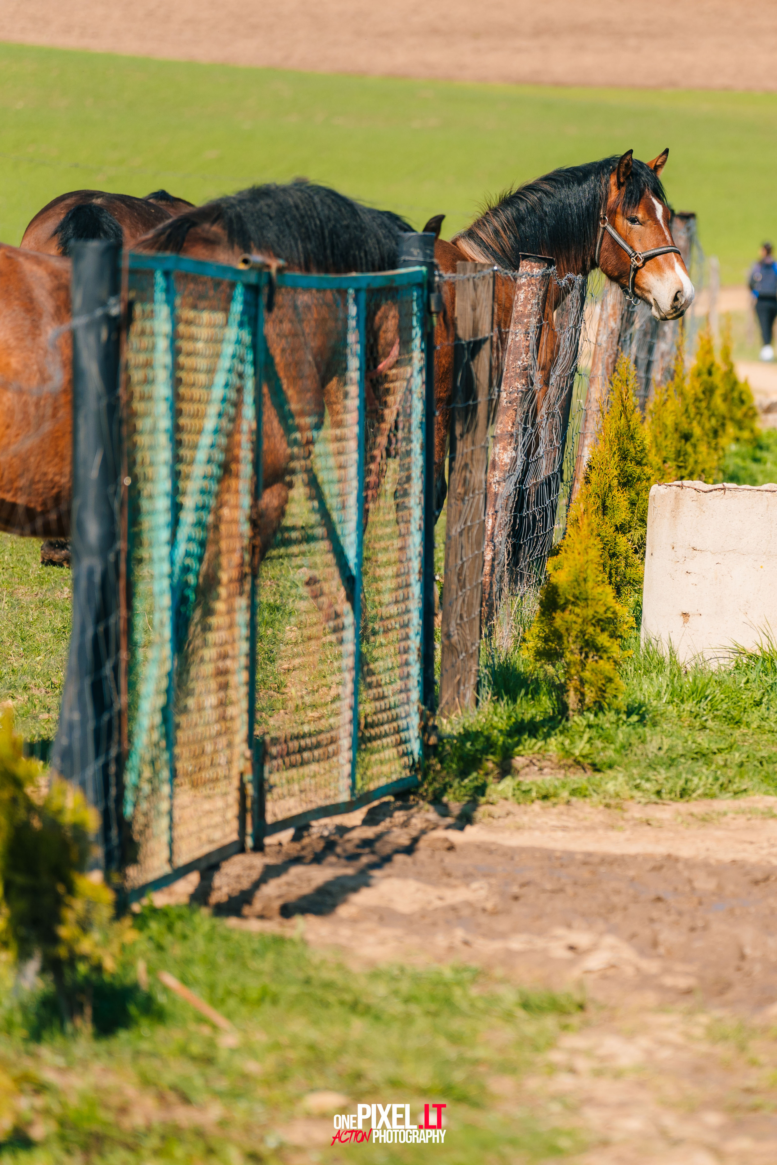 Žygis PTuras — Velnio keliais 2023. OnePIXEL