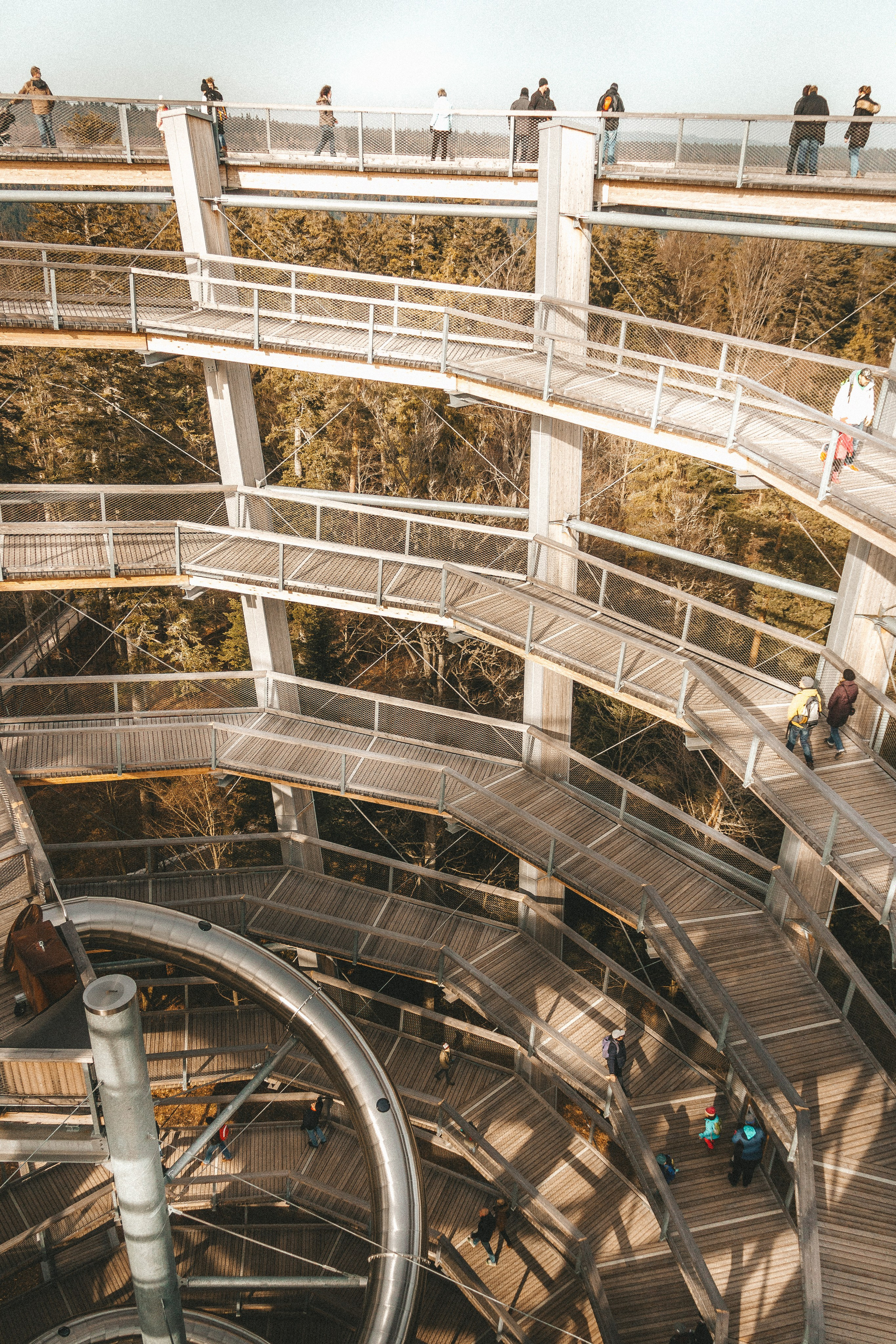 Baumwipfelpfad in Bad Wildbad. Maria Chistyakovа — Fotografin in Karlsruhe, Baden-Baden und Umgebung