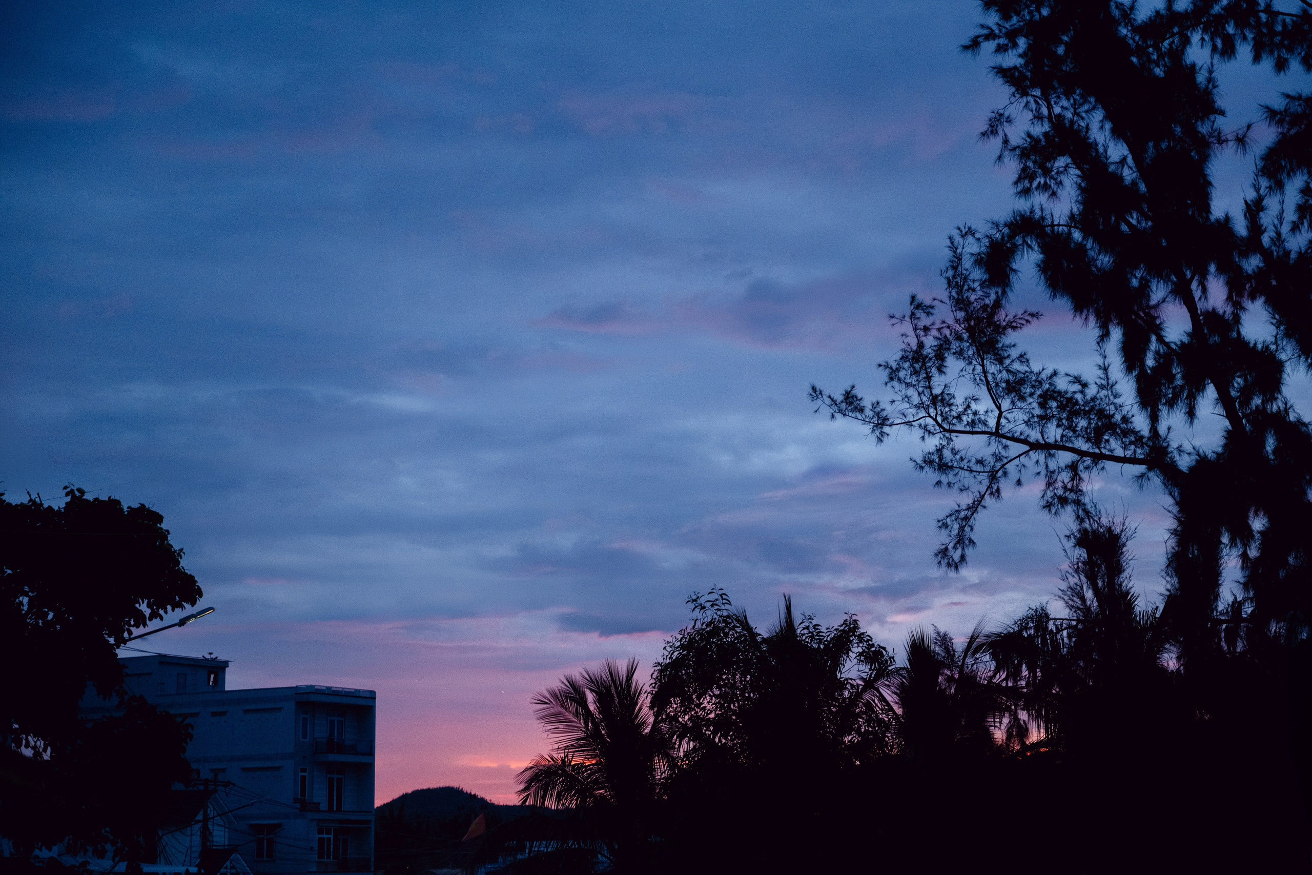 Quốc & My. Cam Images
