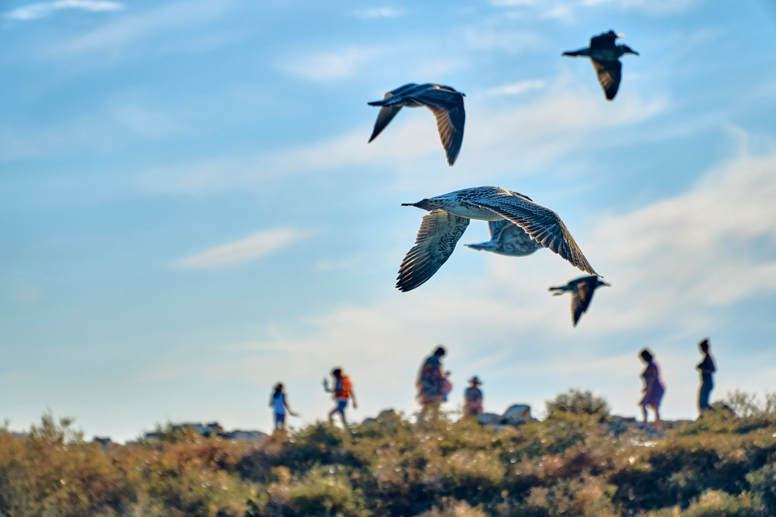 Buchtarma (Kazachstan). Andriej Szypilow - Fotografia & Wideografia