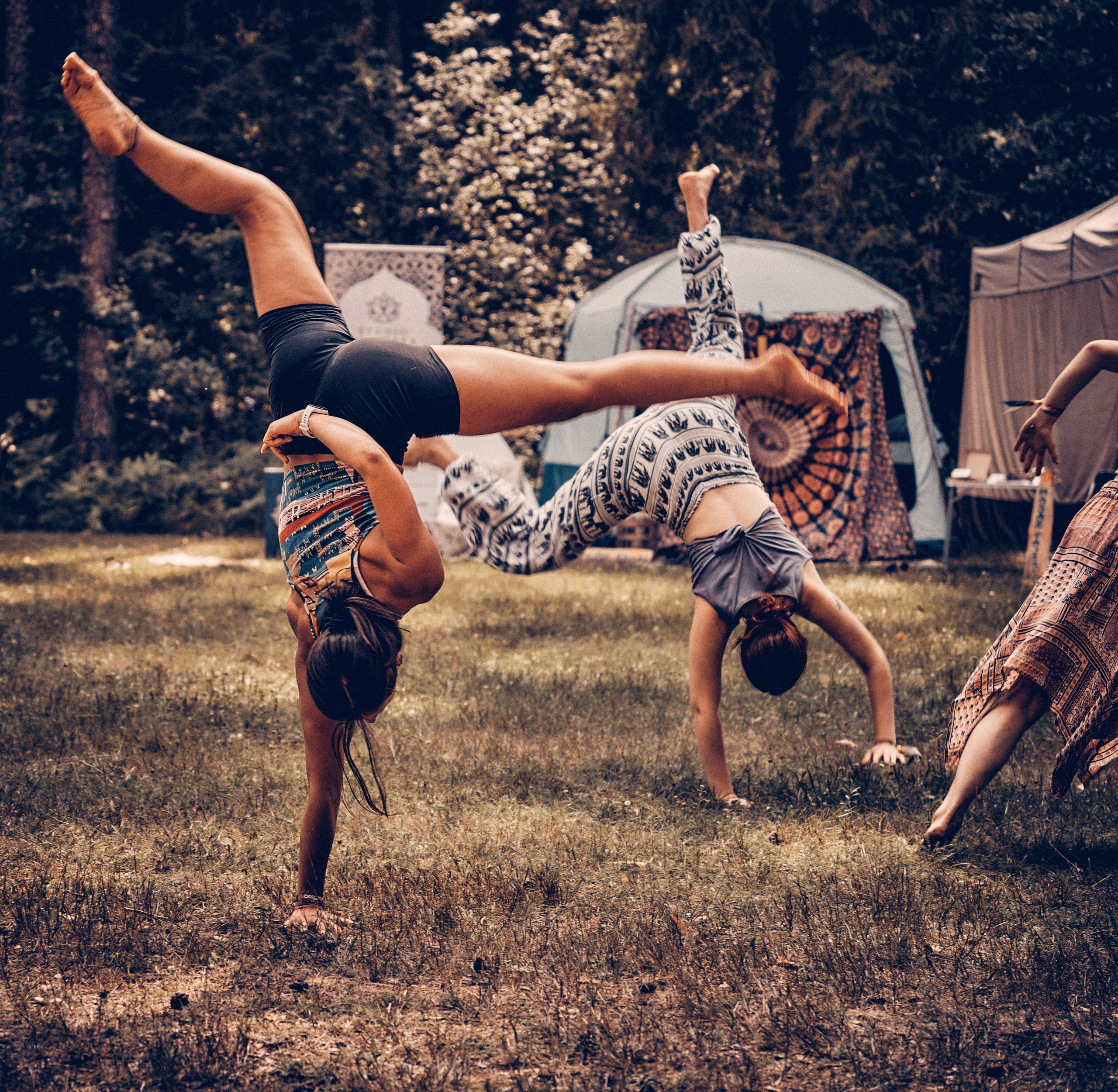 Organic Festival 2024. Андрей Шипилов — Фотография & Видеография