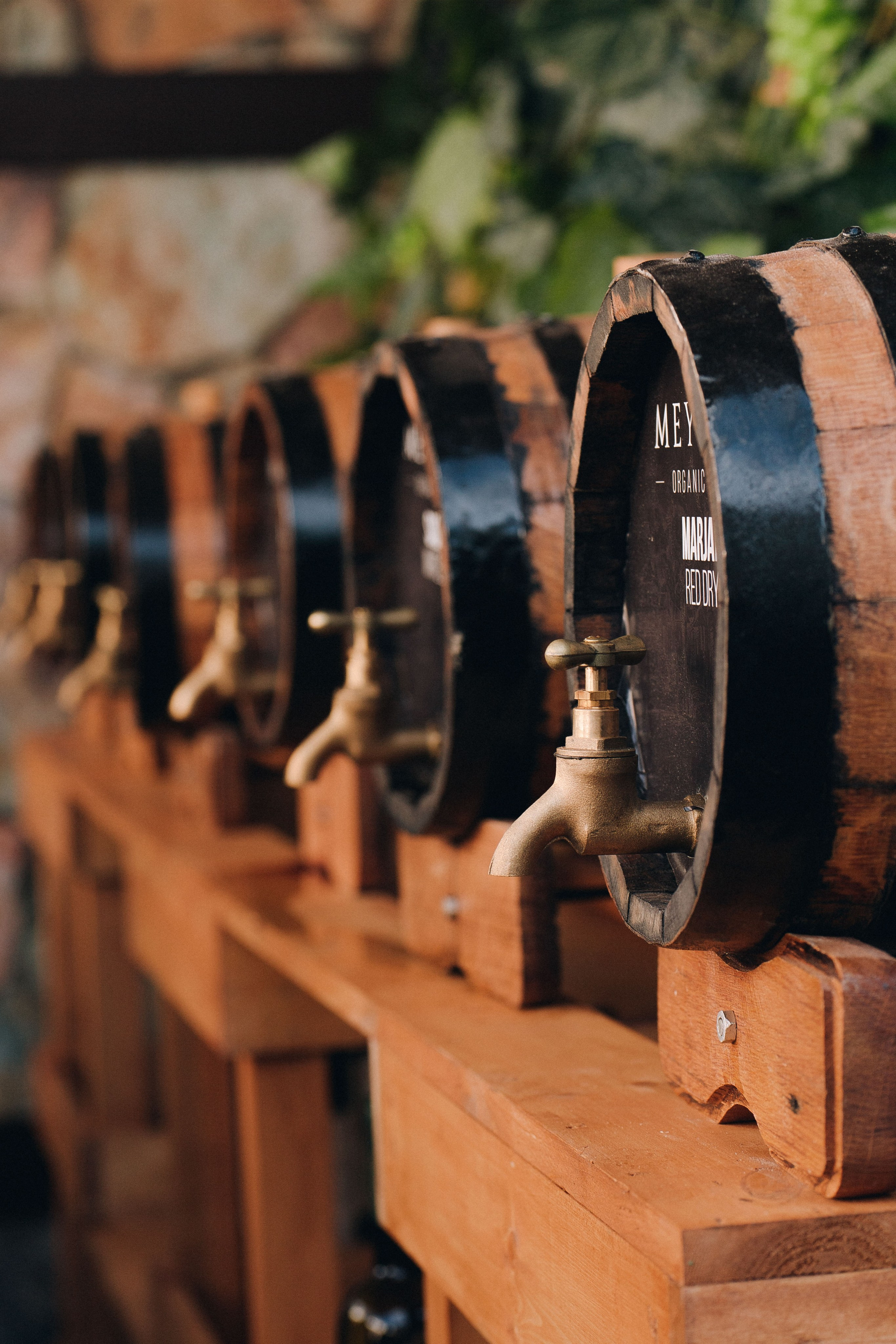 MEYSARI WINE FESTIVAL. Wedding&Event photographer Ismail Rzayev in Baku