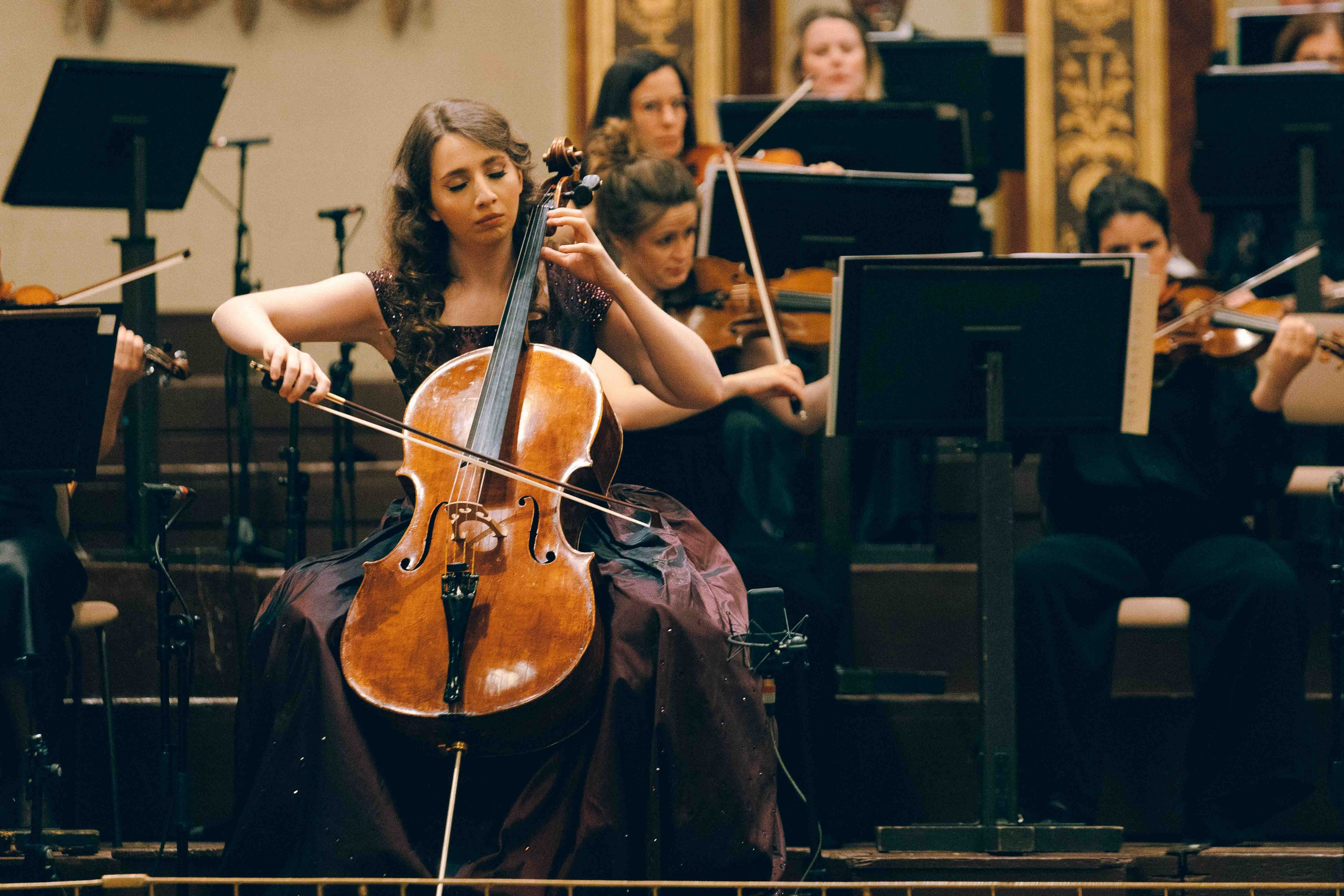 MUSIKVEREIN (VIENNA). Wedding&Event photographer Ismail Rzayev in Baku