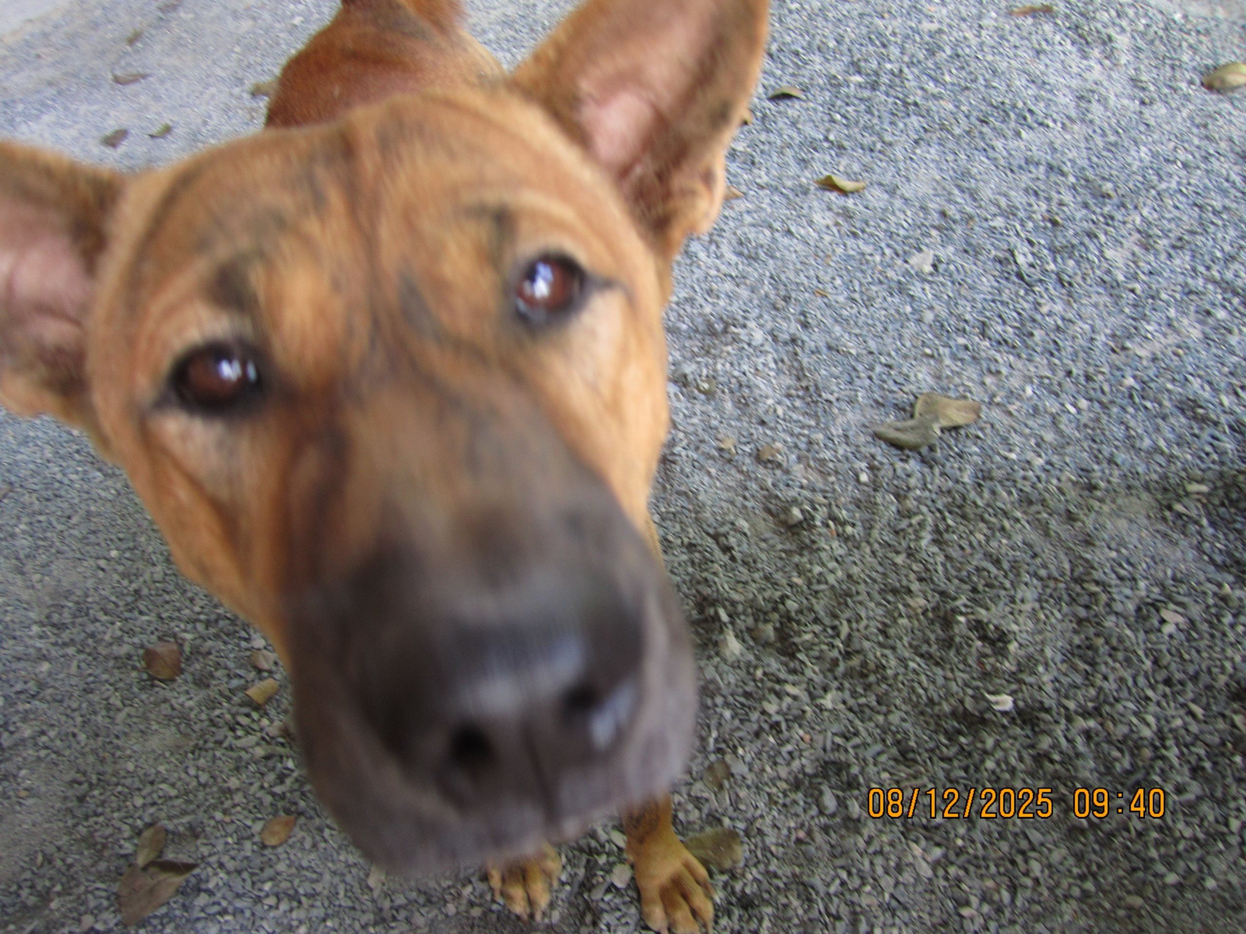 Четырнадцатый день. LondoSpeed Photography