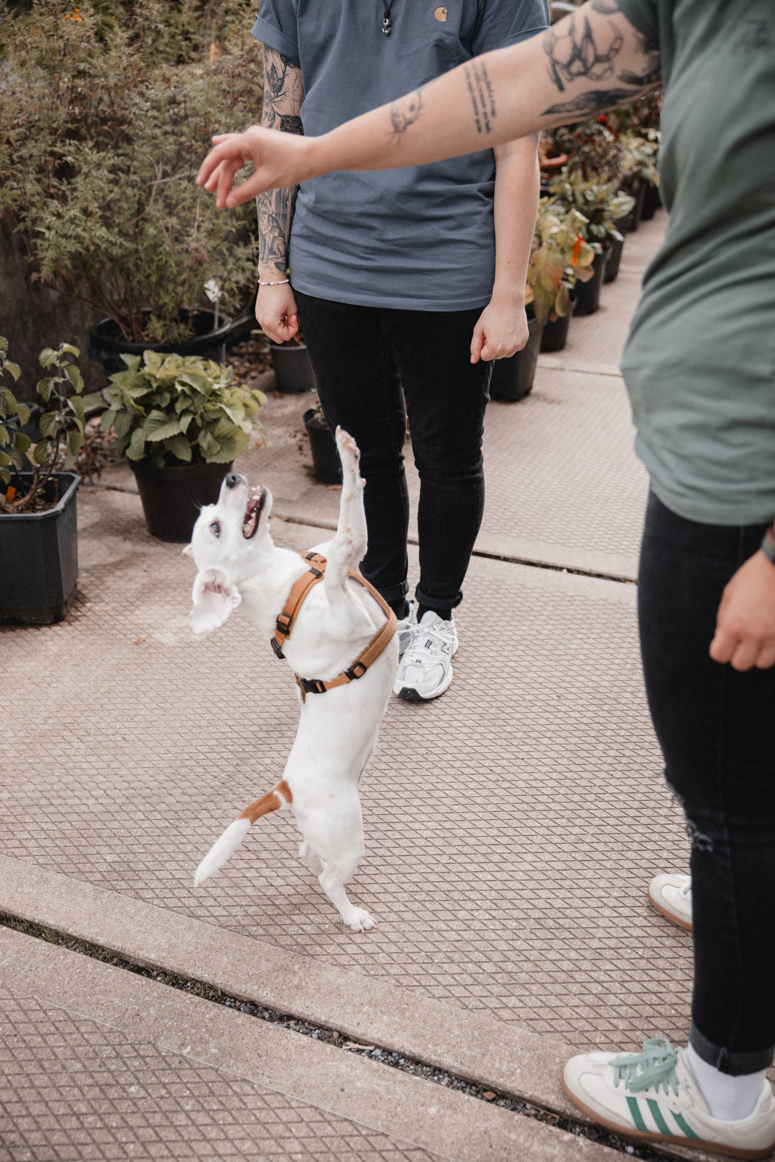 Pie & Eicke. Hochzeitsfotografie |Hochzeitsfotograf Bochum | Hochzeitsfotograf Dortmund | Hochzeitsfotograf Essen | Hochzeitsfotograf Ruhrgebiet