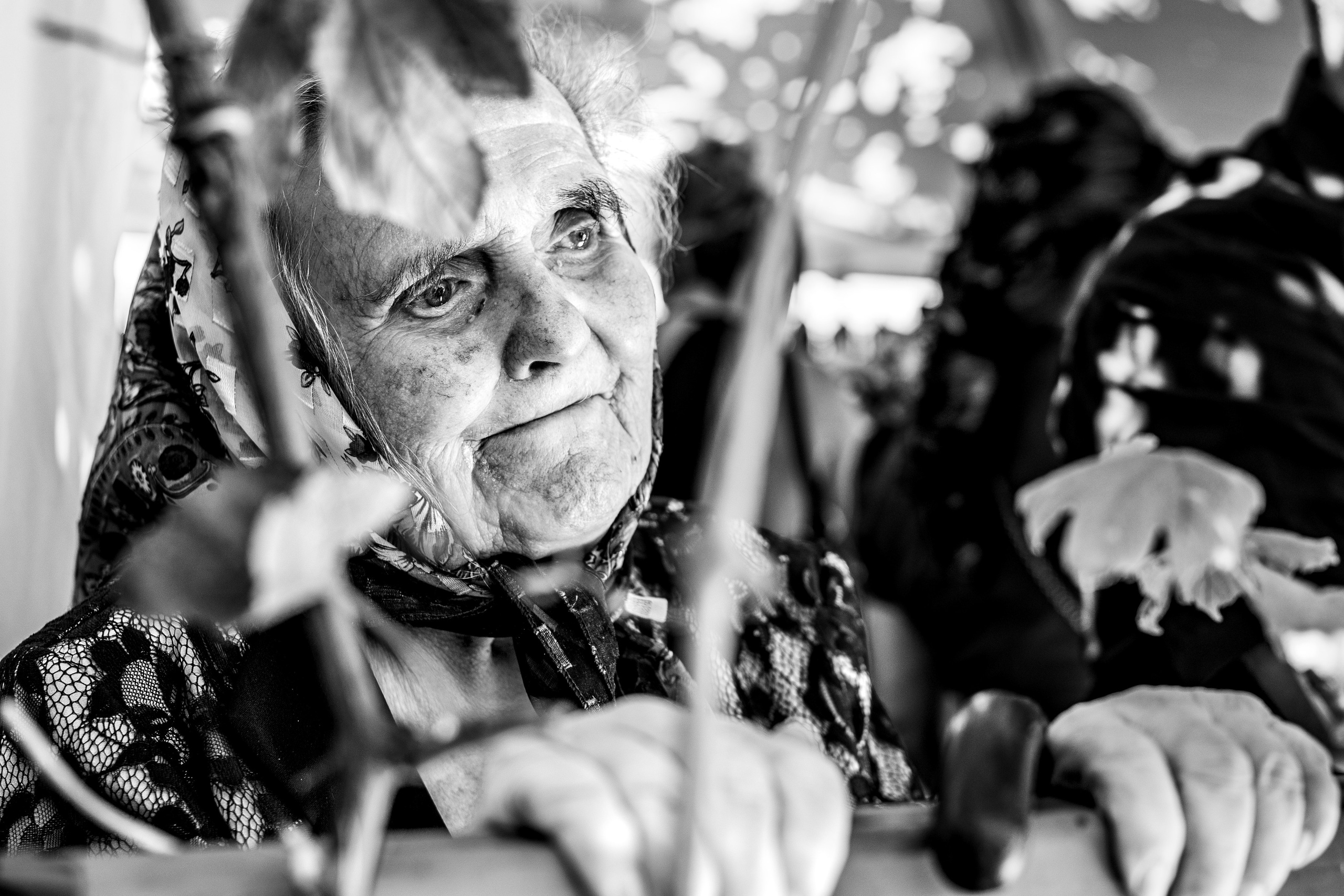 Alexandra & Adrian. B|P Weddings - Fotograf & Videograf - București||0730017811