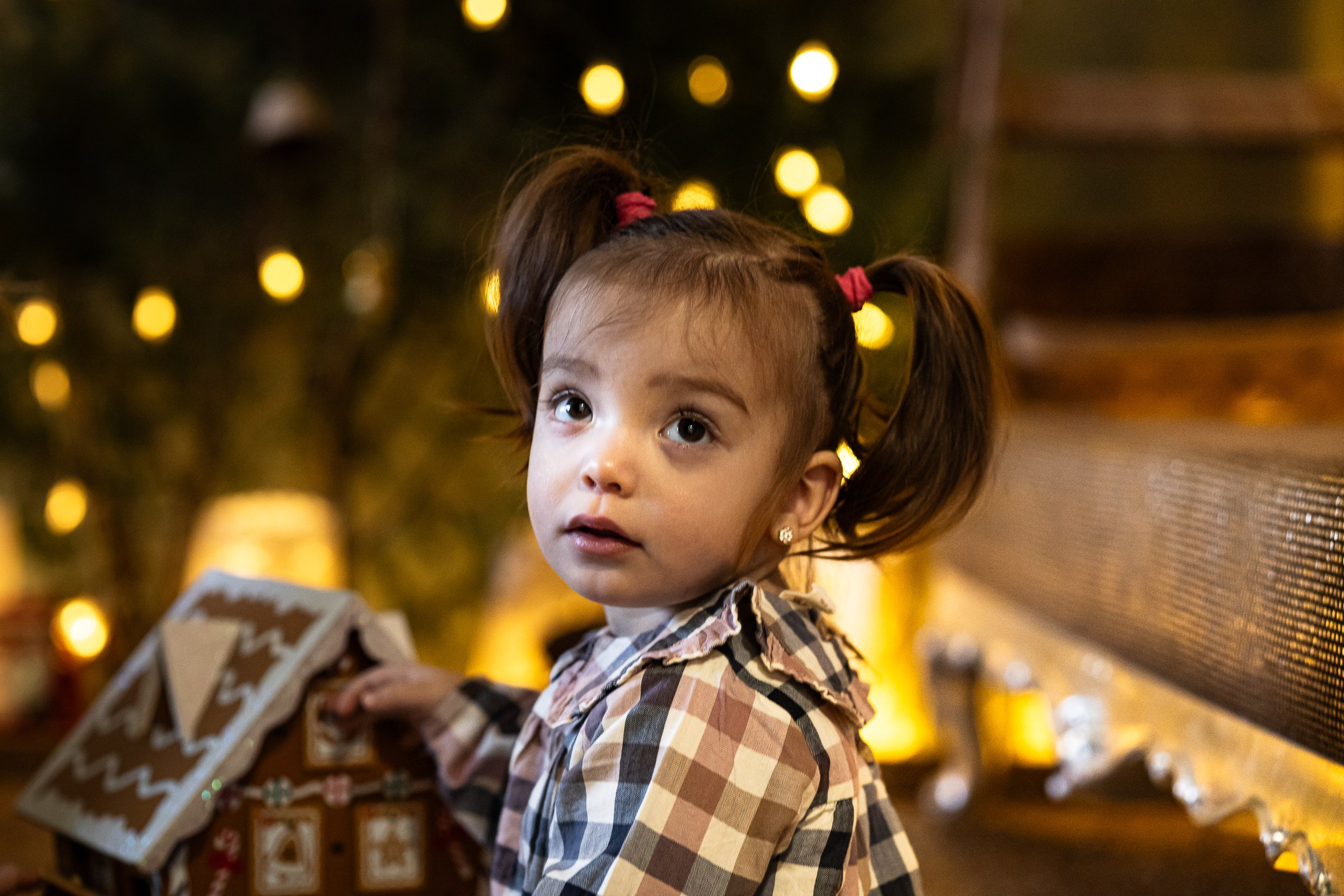 Profesionalno novogodisnje fotografisanje Ruma