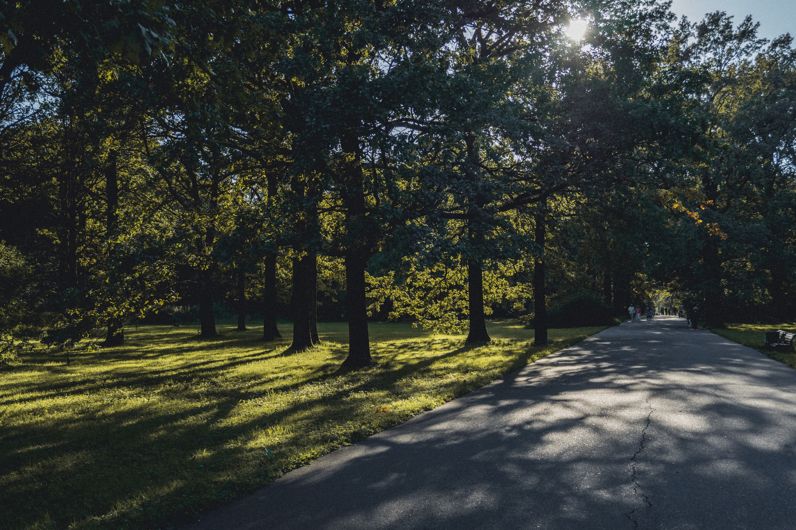 ВДНХ и Ботанический сад. Семейный и детский фотограф на Лазурном Берегу