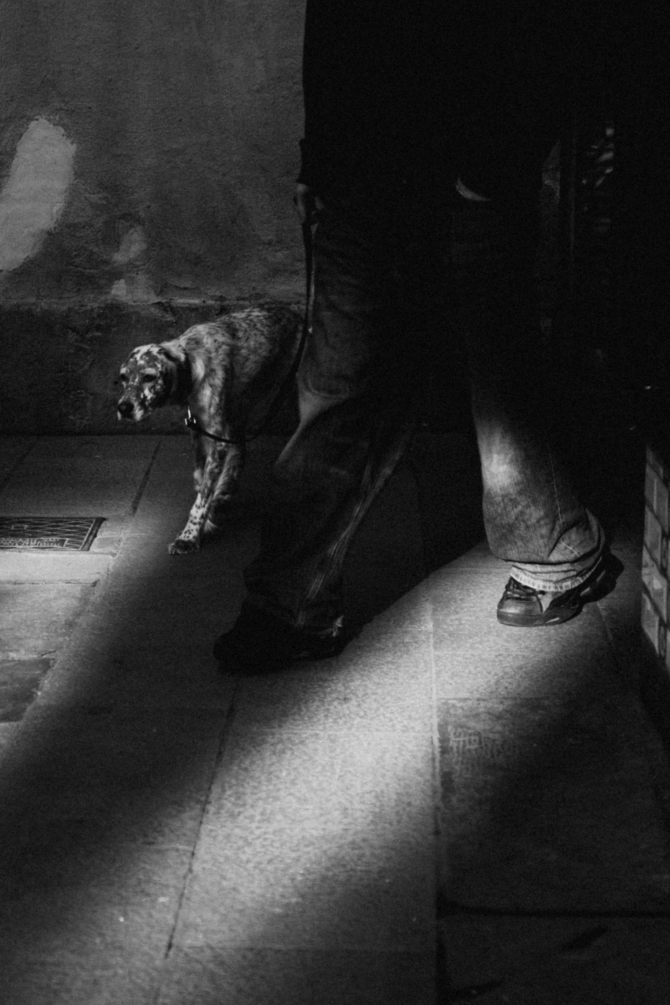 Galeria. Creador de contenido visual en Barcelona | Dima Kit