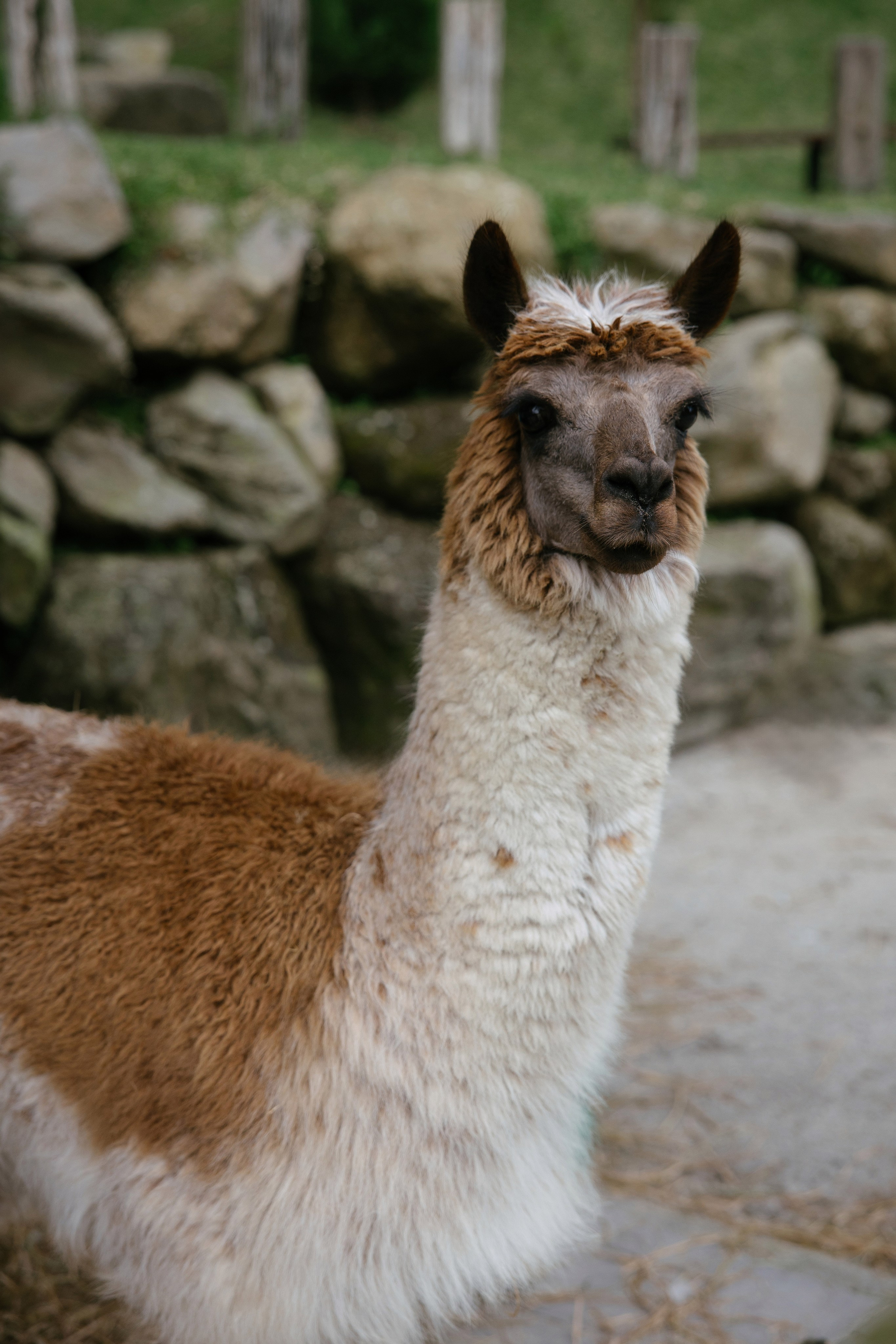 North trip. Профессиональный фотограф Нурмиева Вероника