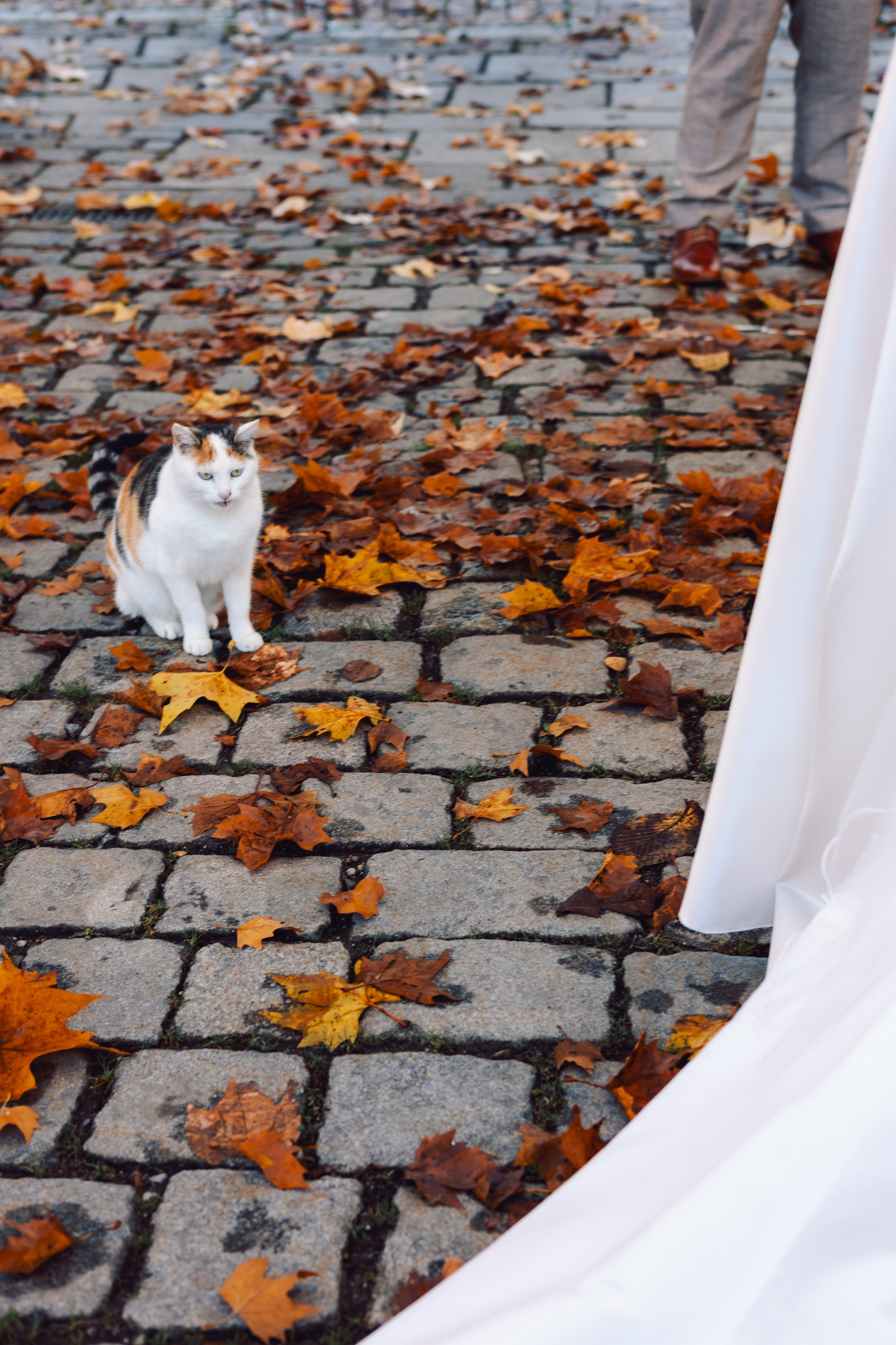 Anne&Kevin. PeterKateFoto