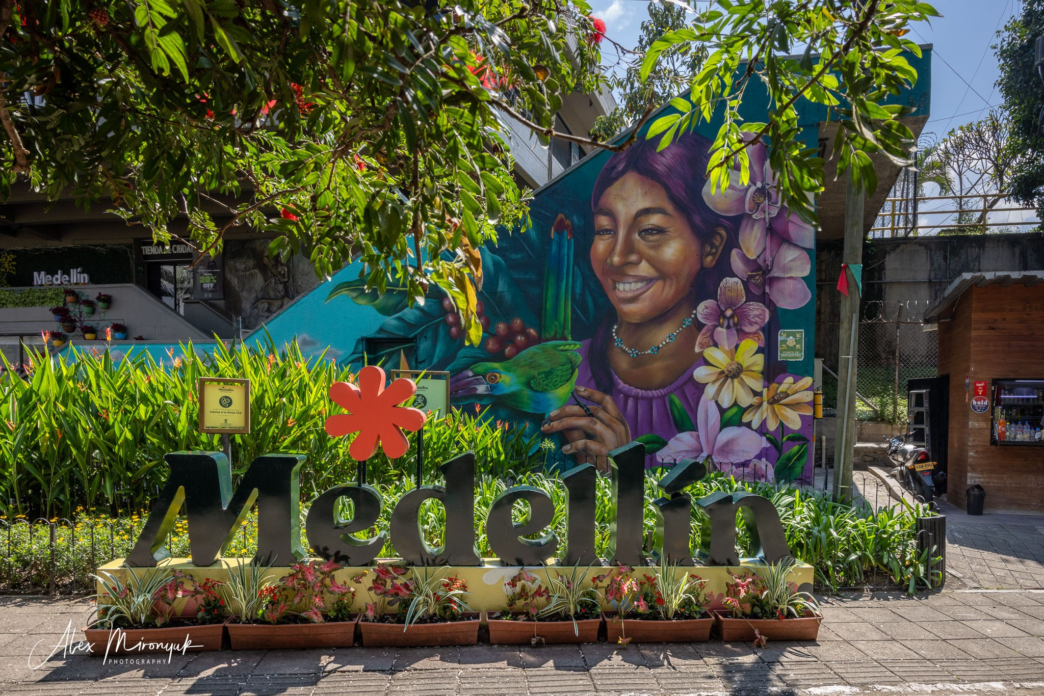 Colombia in Style. Pet, Senior, Landscape, portrait studio, photographer in Miami and Sou