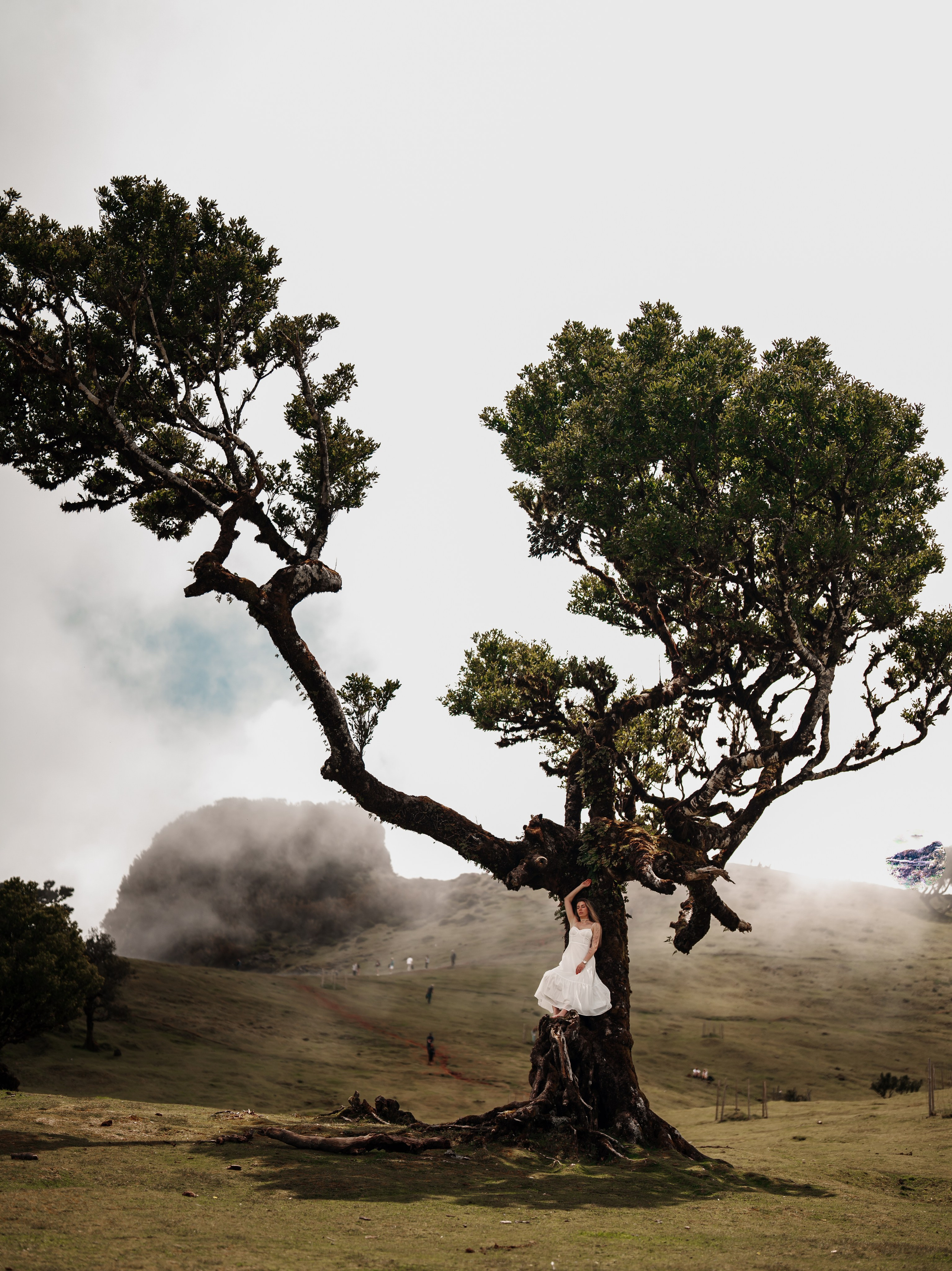 Plein air. Ekaterina Verbitskaya. Photography