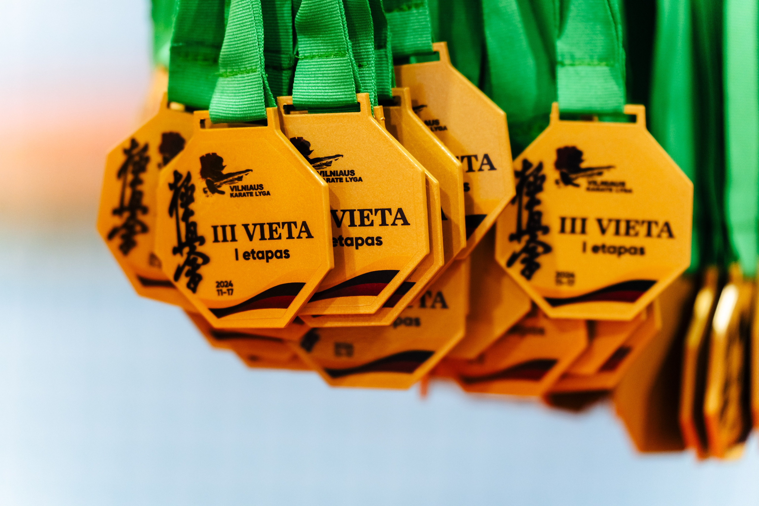 Vilniaus Karate Lyga I Etapas. OnePIXEL