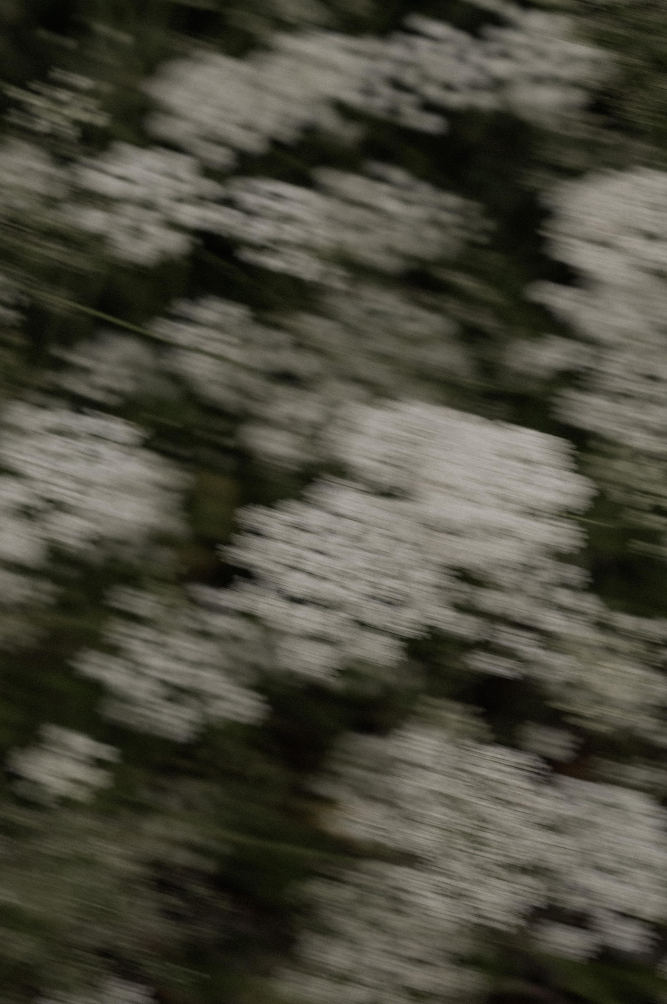 Eine Liebe, die Raum gibt. Photographer in Ansbach for Couples, Weddings and After Wedding