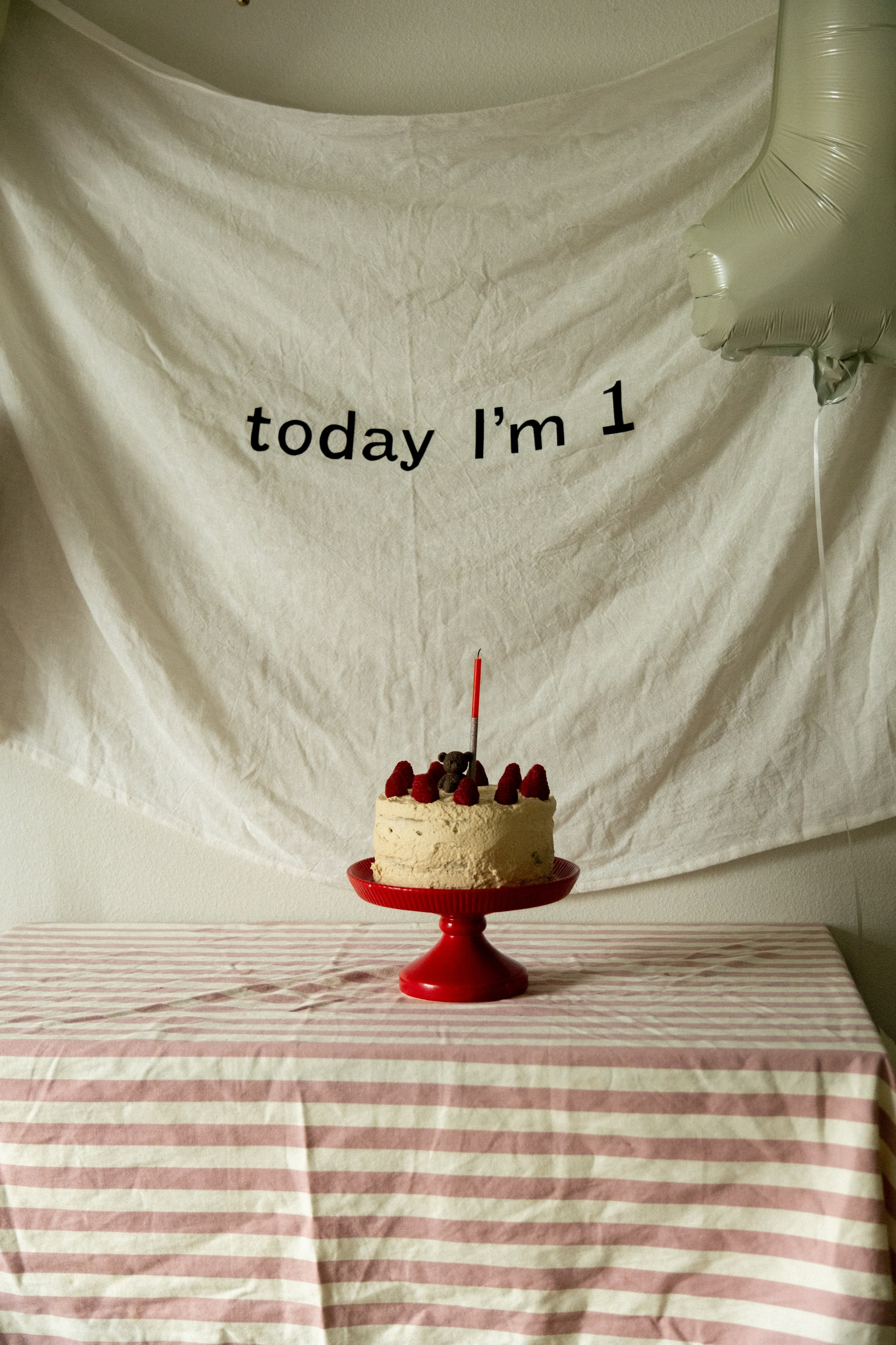 Veniamin 1 year party. Photographer Vladmir Gladkov