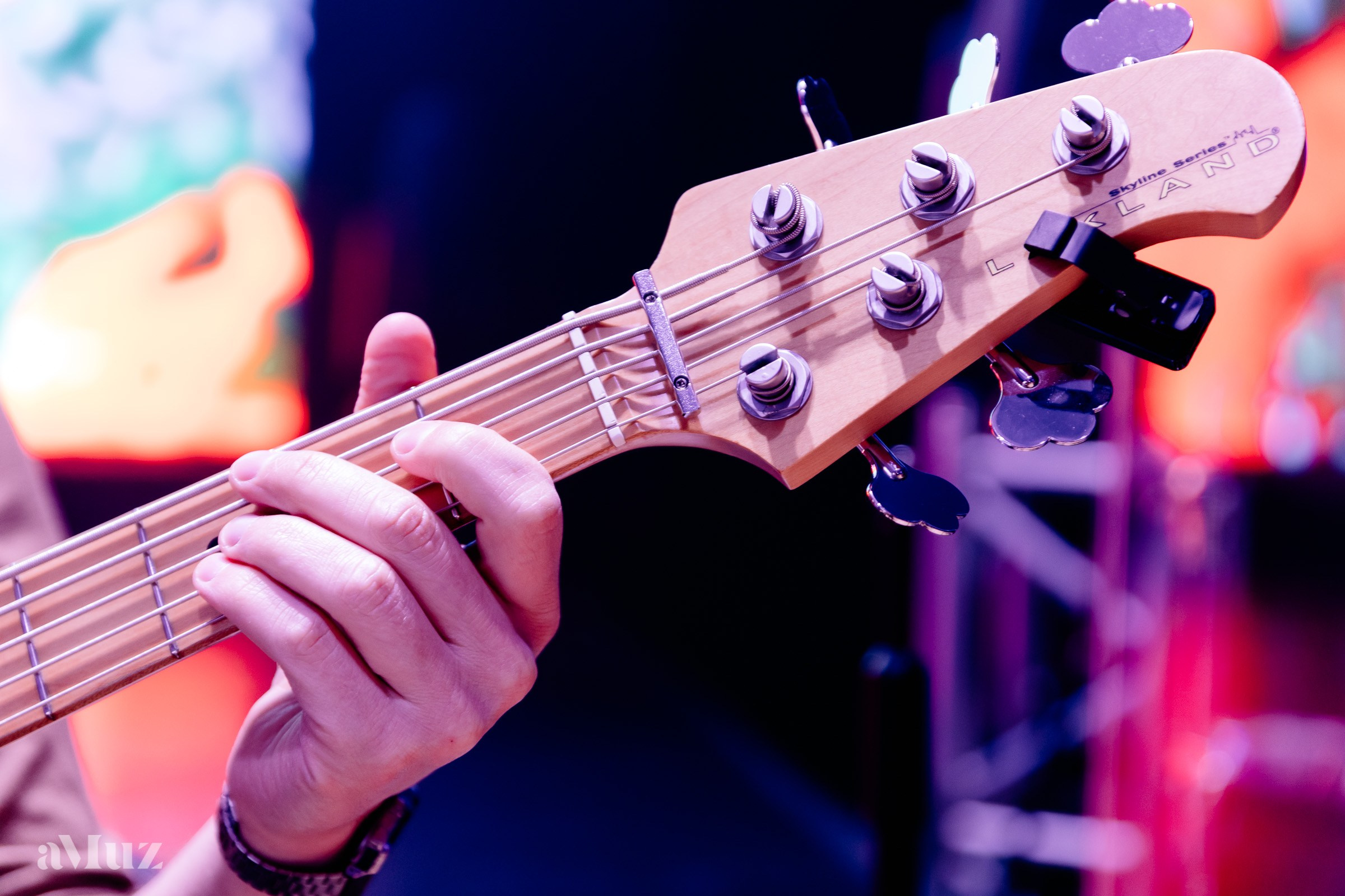 Koncert Amuz.pl. Fotograf Ślubny Warszawa - Sesje Biznesowe Rodzinne Eventy