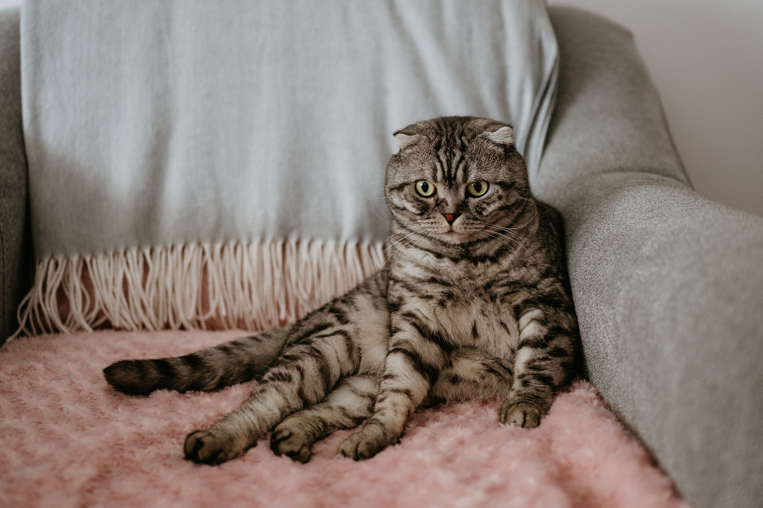 Adina și Ciprian. Valentin Melen — wedding photographer