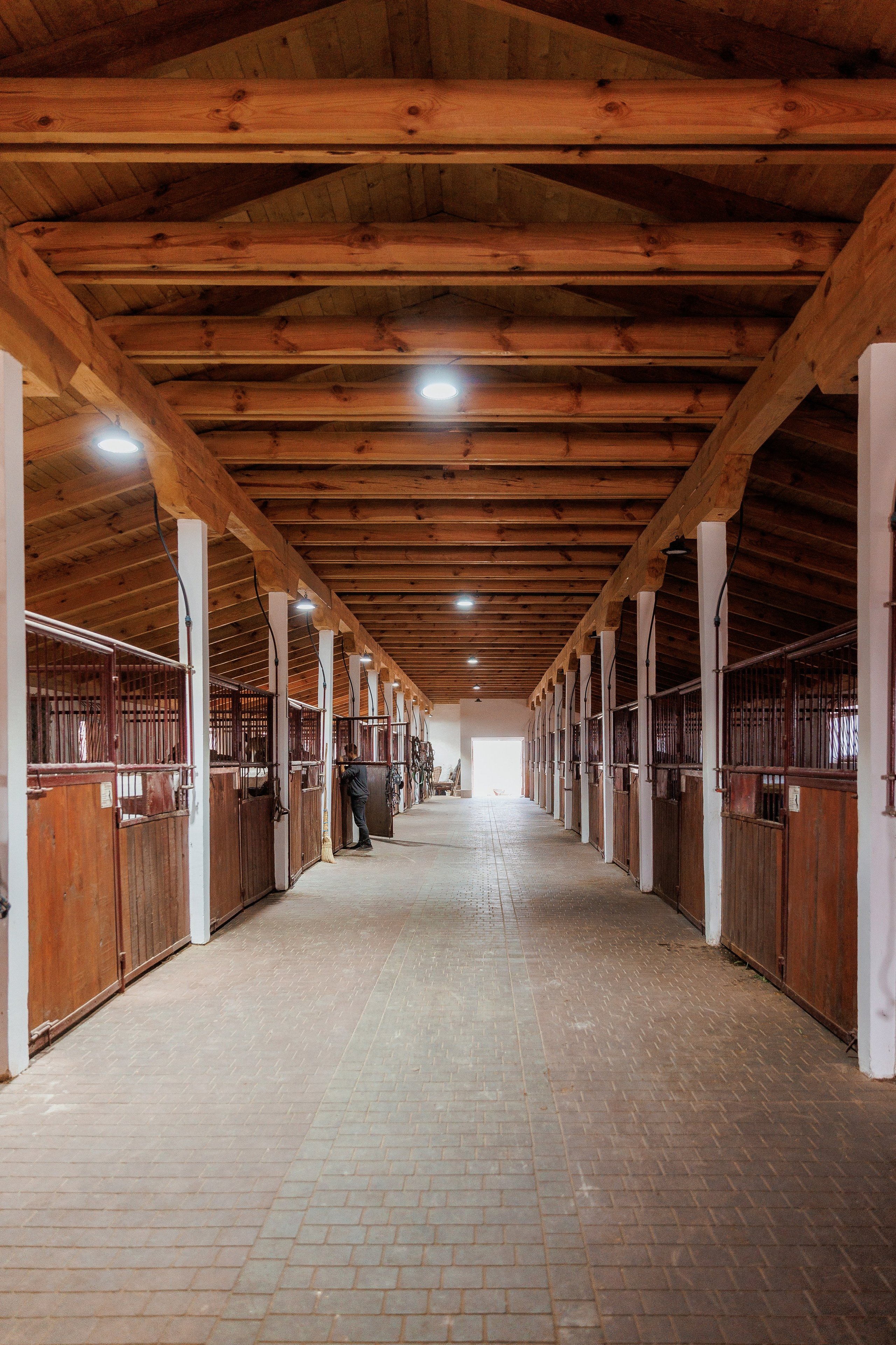 Екопарк Аміла. Ірина Терещук